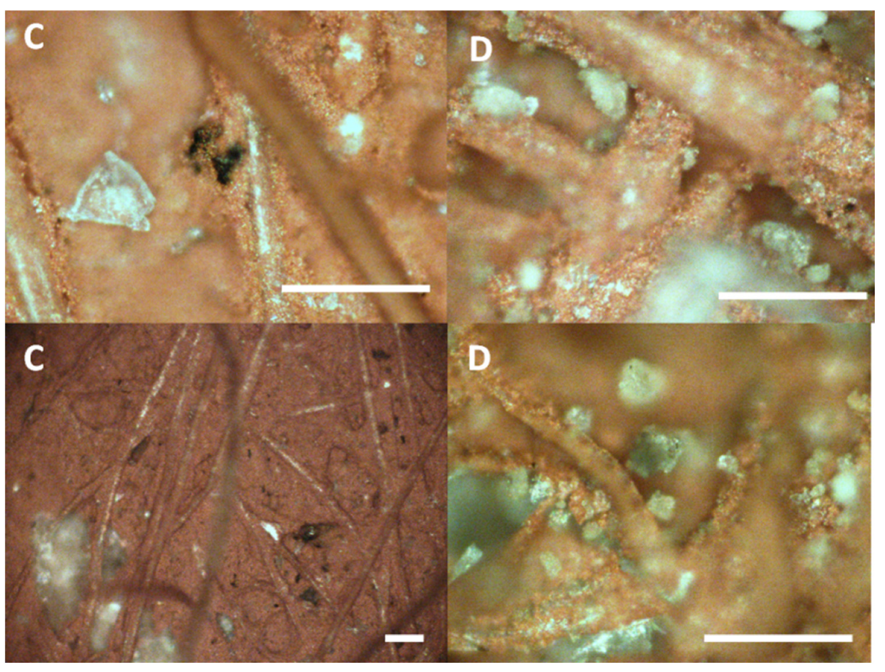 Heritage 08 00078 g007 Heritage 08 00078 g007