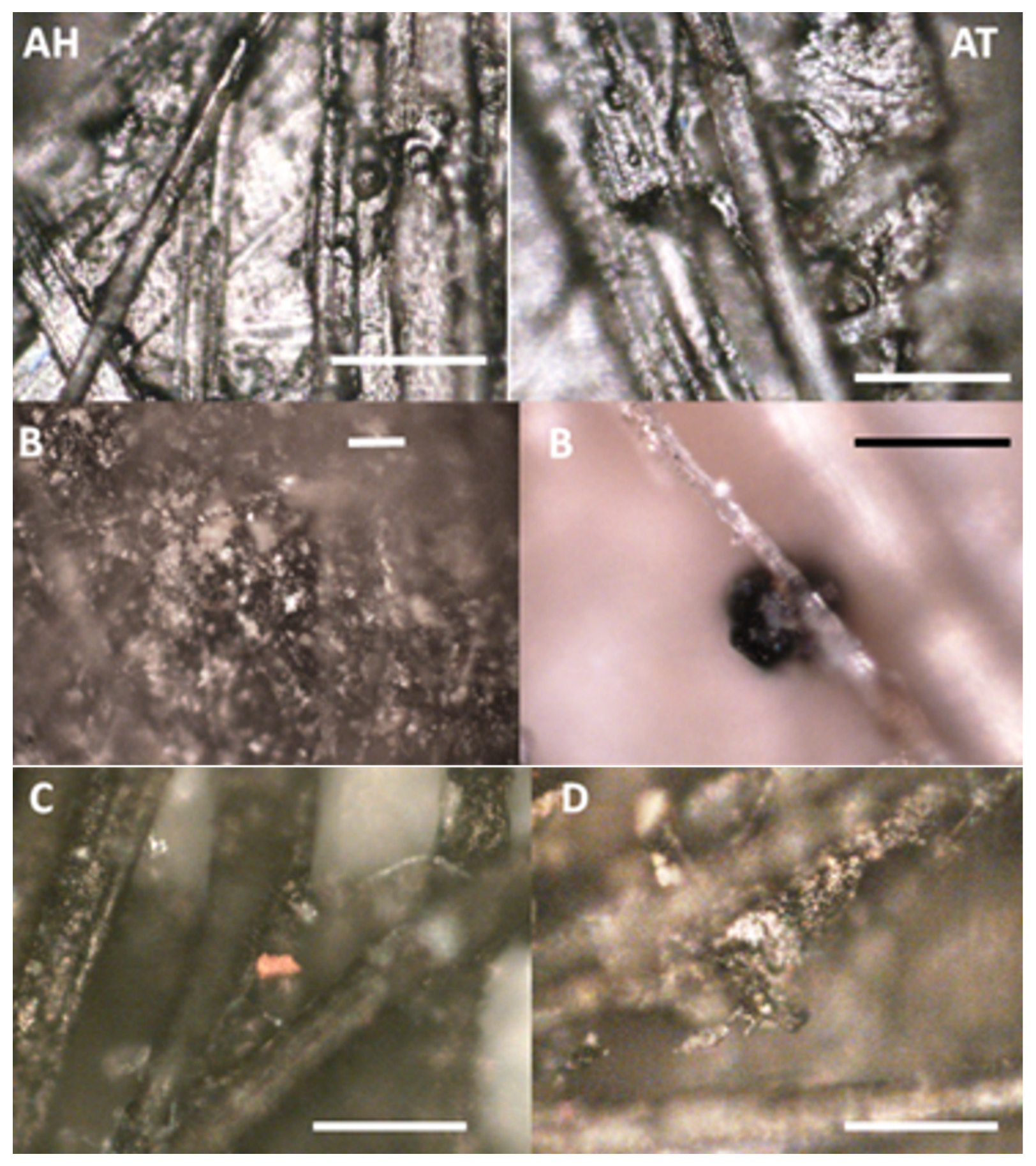 Heritage 08 00078 g009 Heritage 08 00078 g009