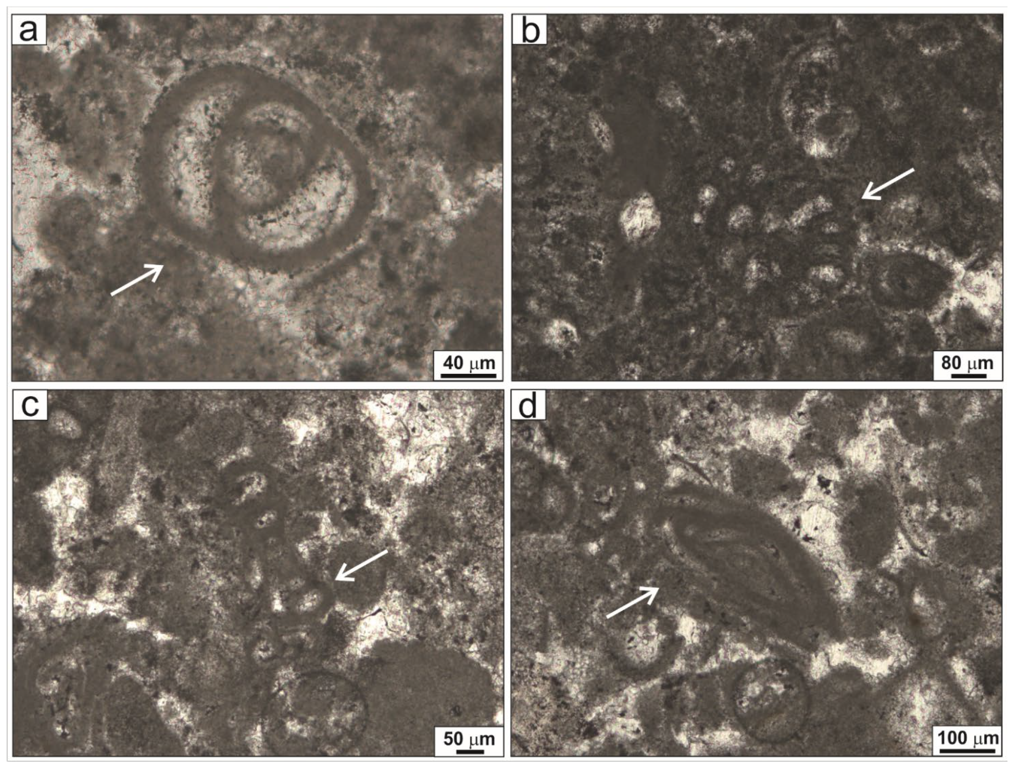 Heritage 08 00094 g008