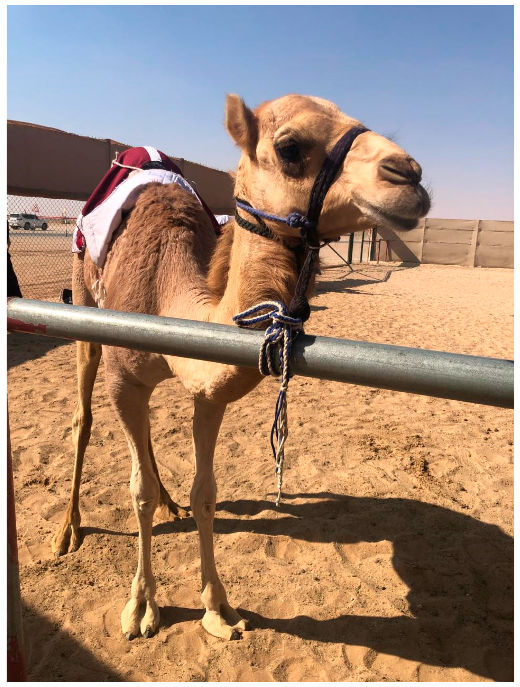 Heritage 08 00165 g002