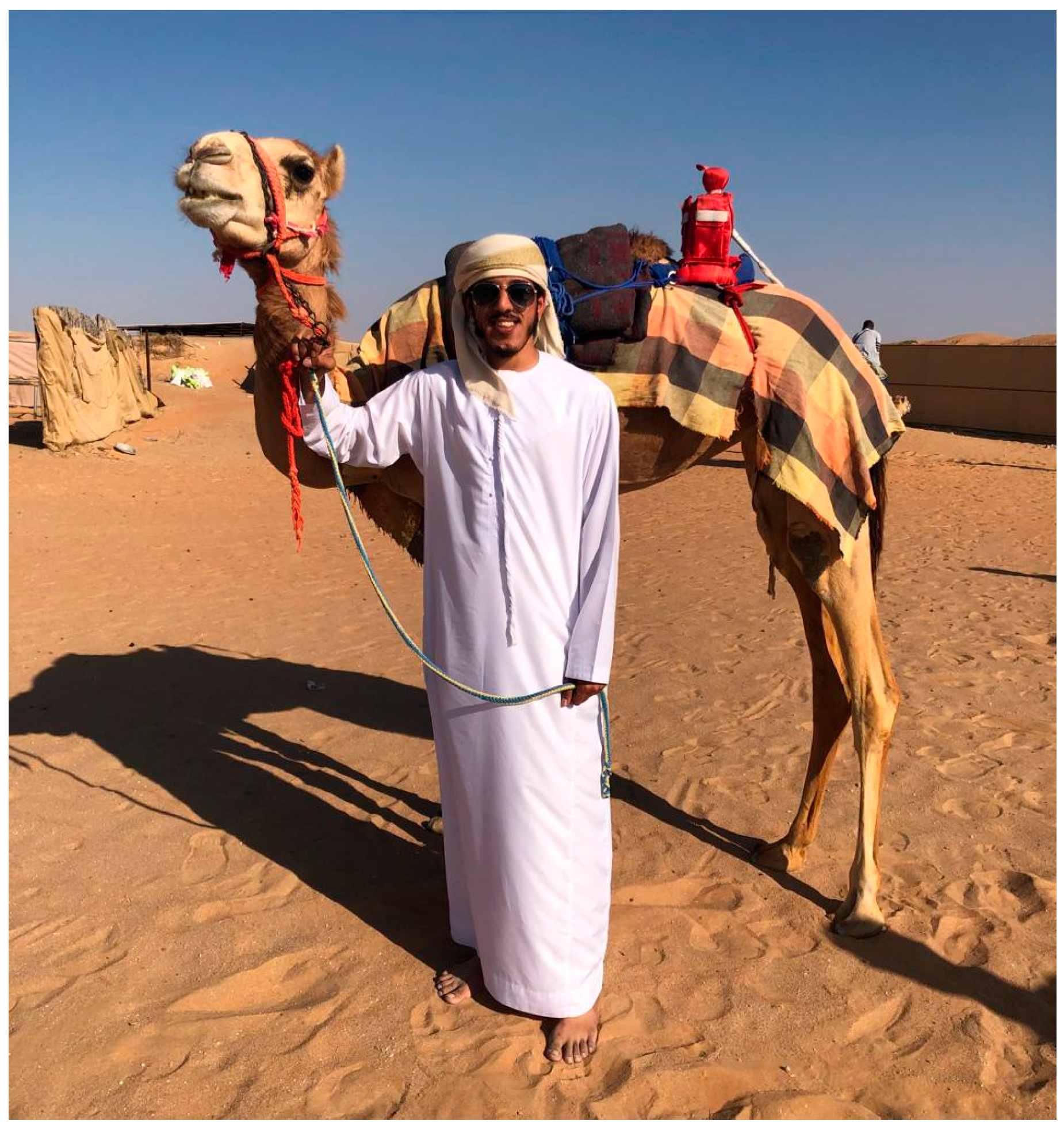 Heritage 08 00165 g004