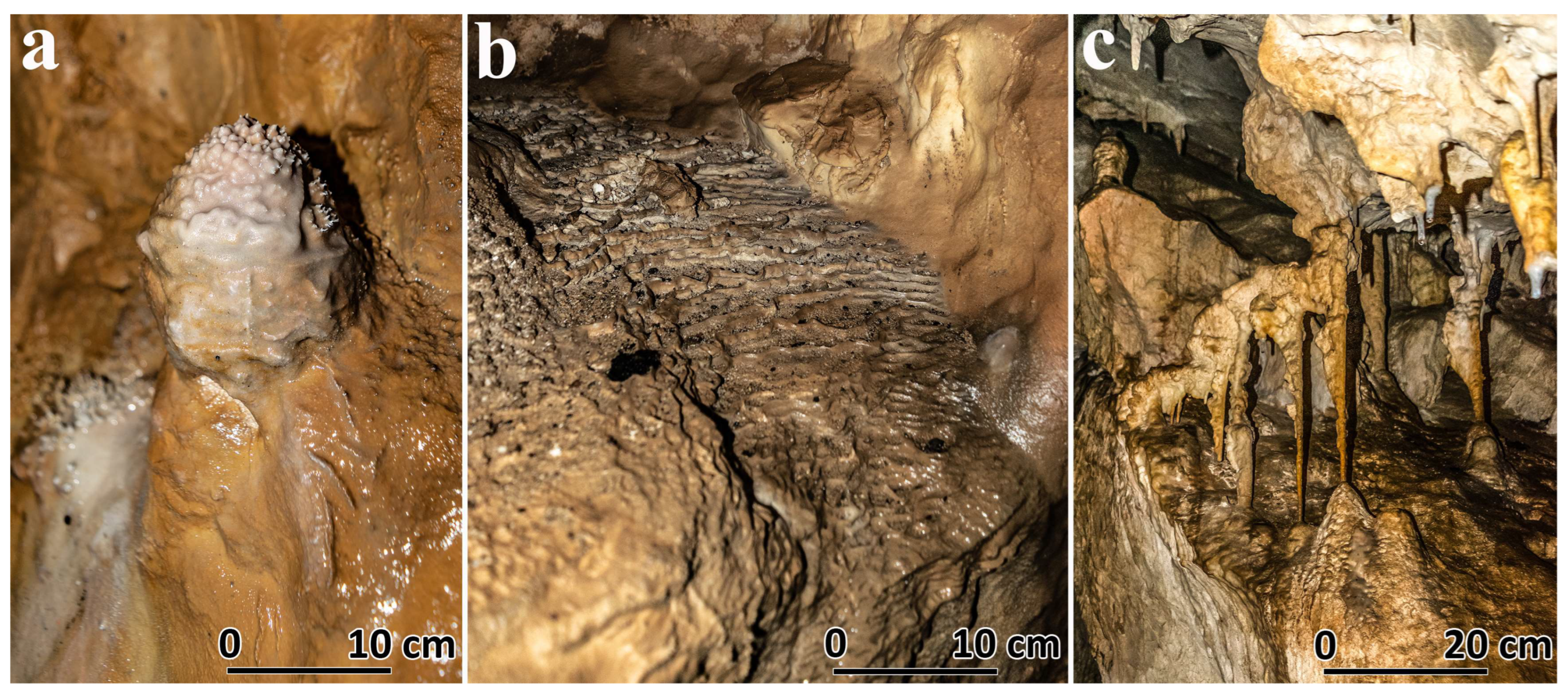 Heritage 08 00183 g015