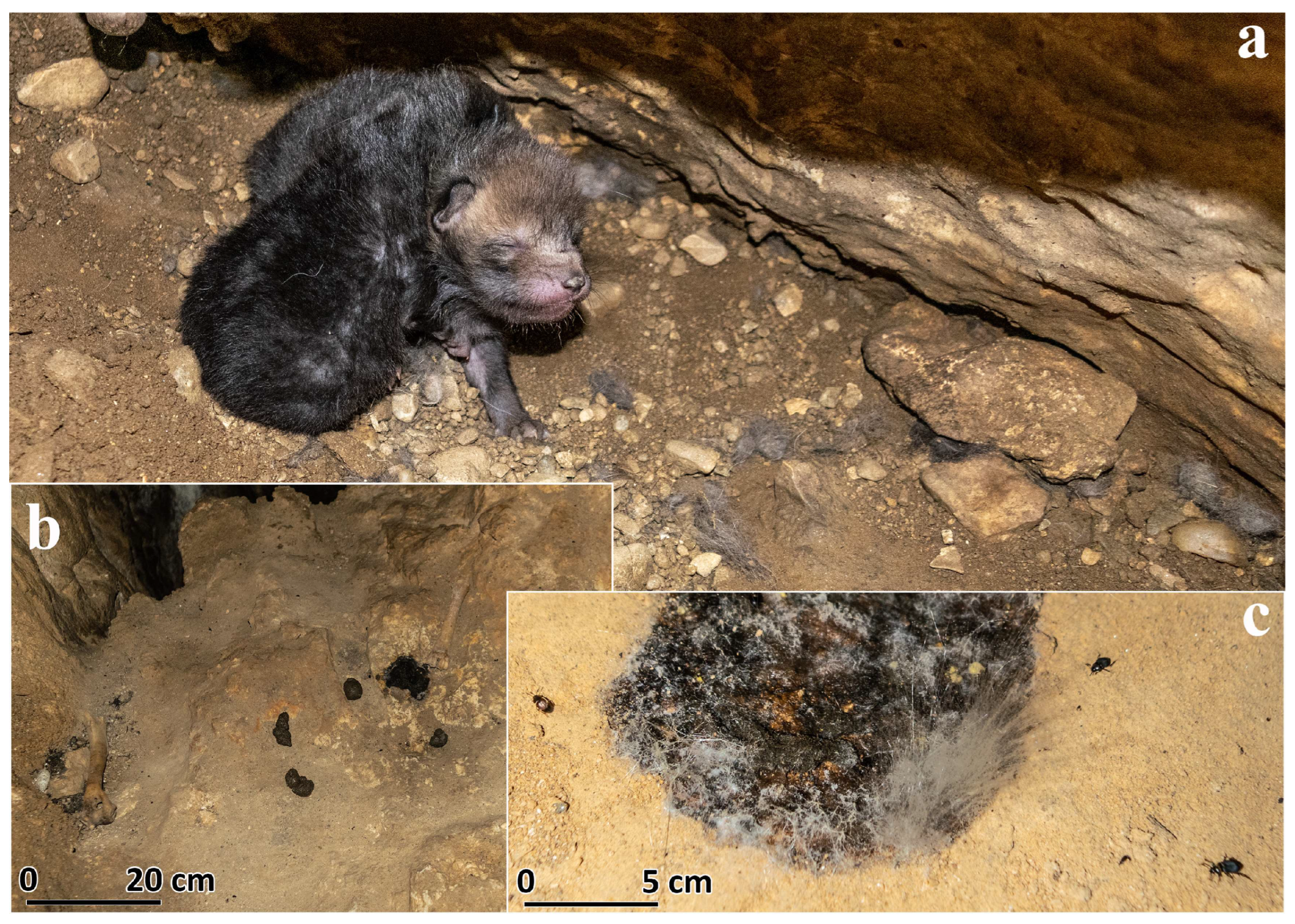 Heritage 08 00183 g017