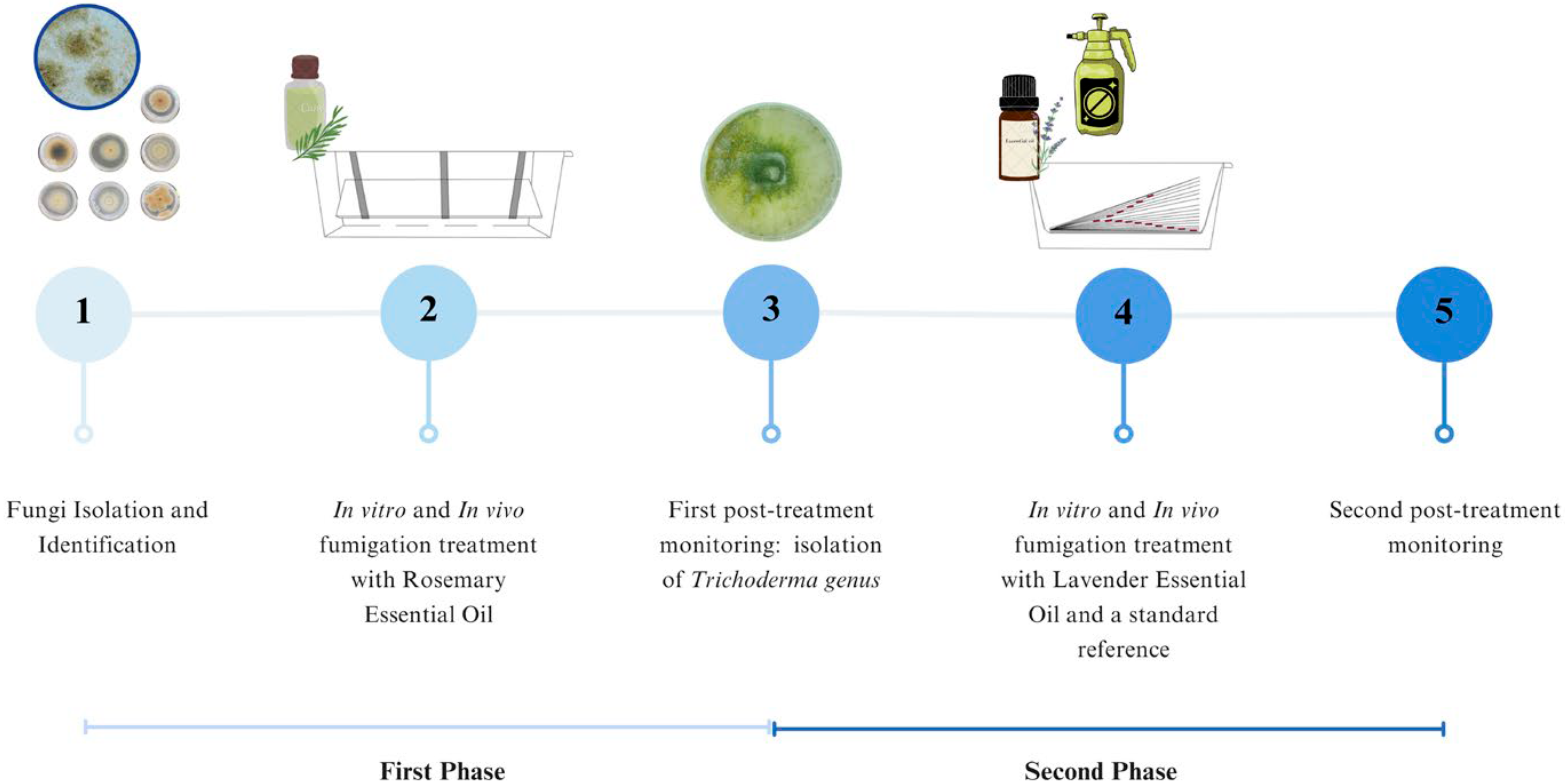 Heritage 08 00187 g001