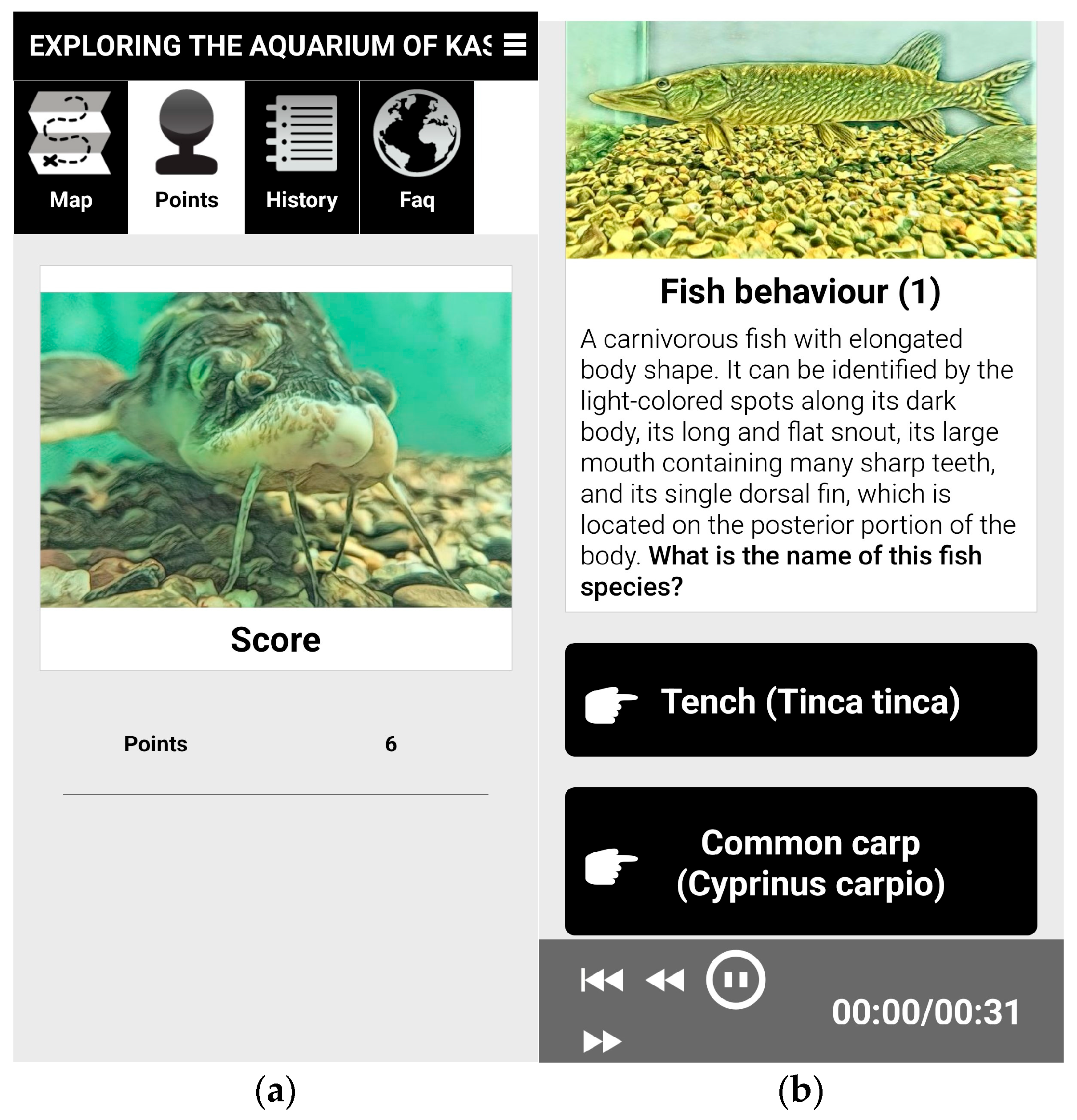 Heritage 08 00191 g019