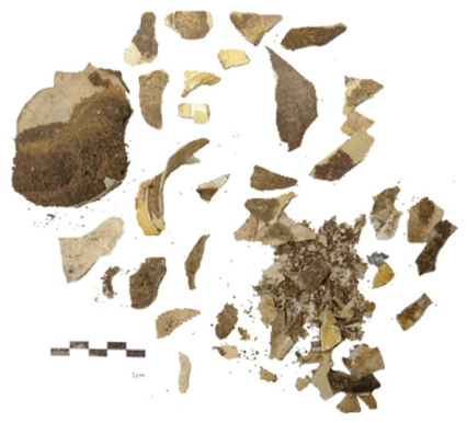 Heritage 08 00209 i006