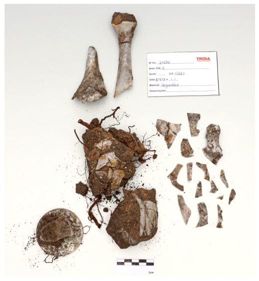 Heritage 08 00209 i011