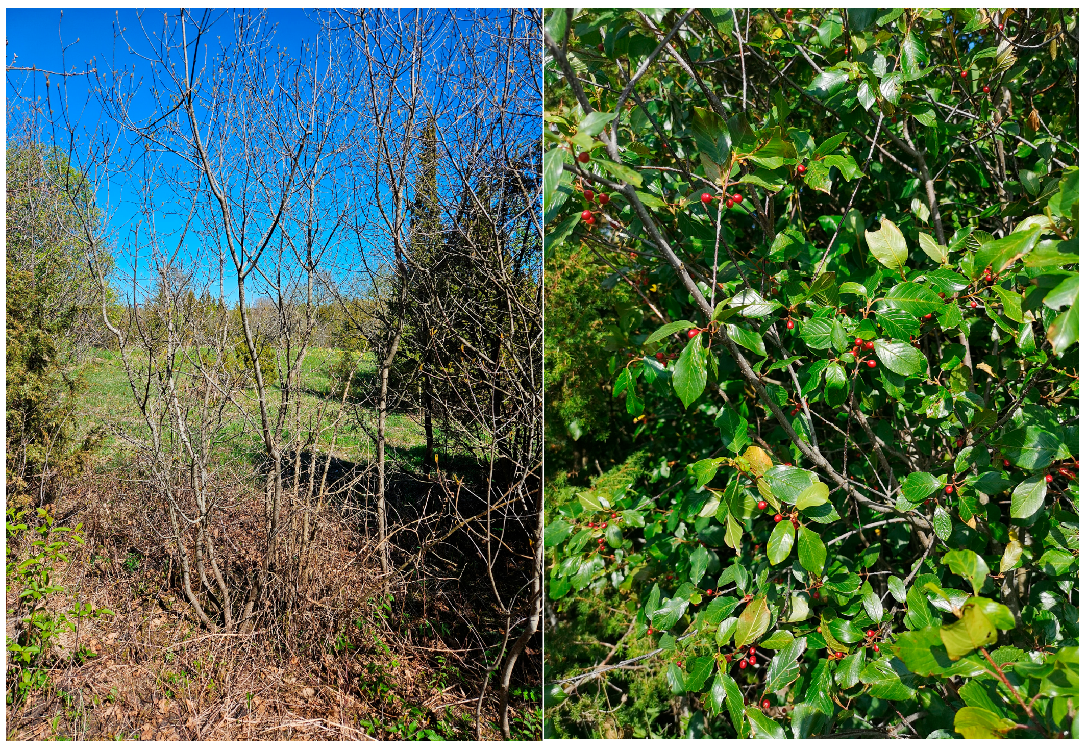 Heritage 08 00220 g001