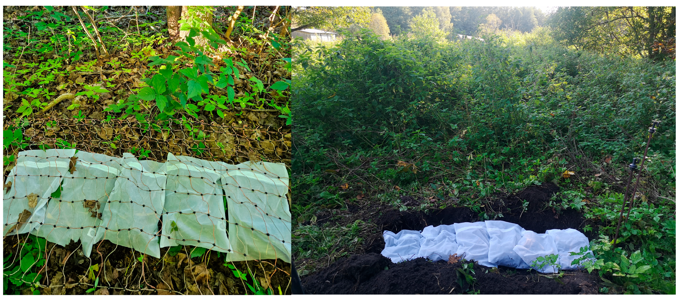 Heritage 08 00220 g005