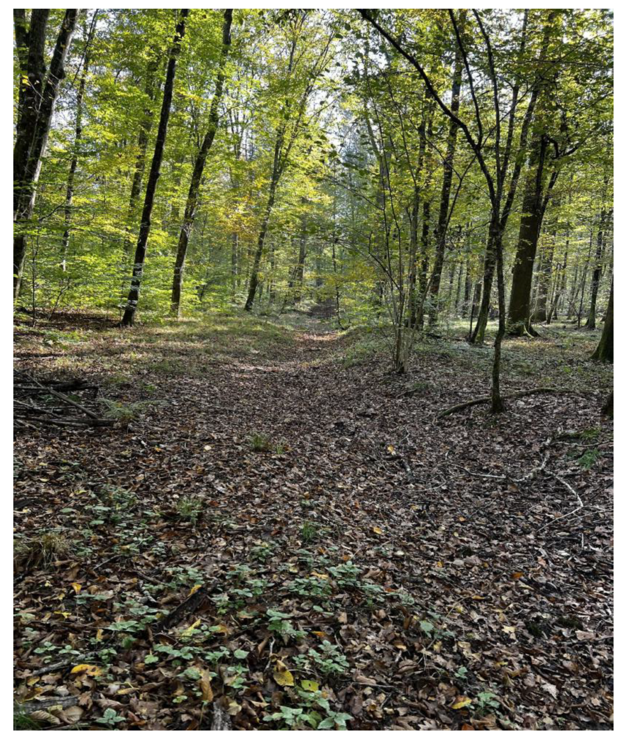 Heritage 08 00234 g009