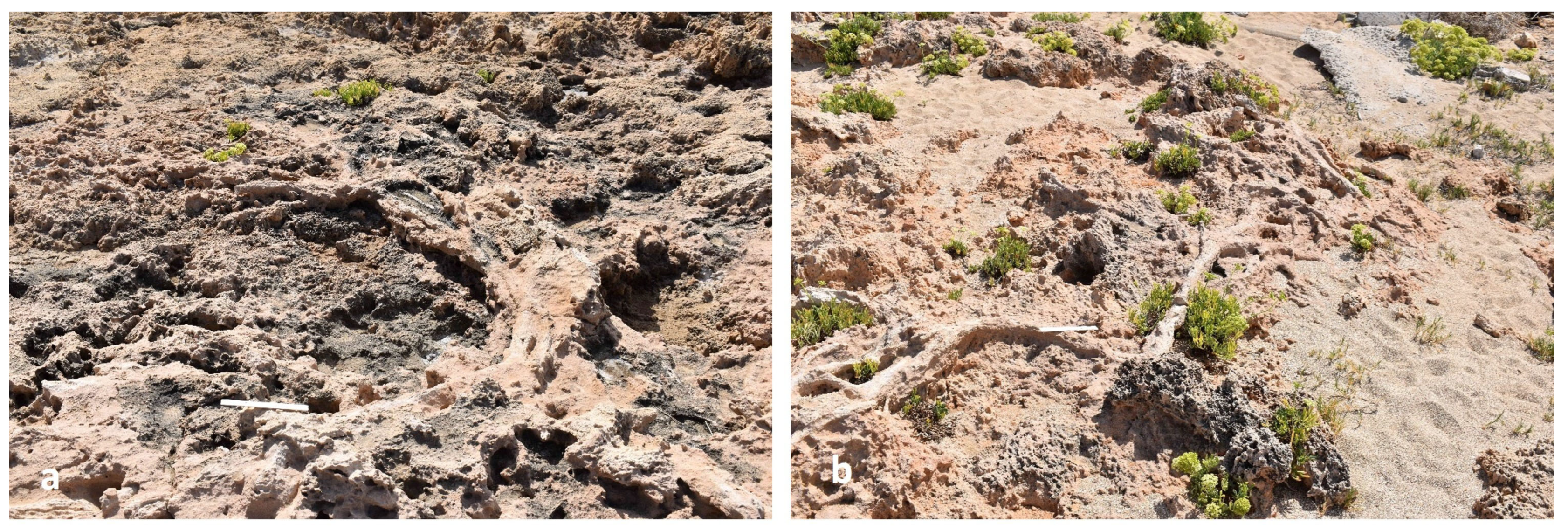 Heritage 08 00242 g010