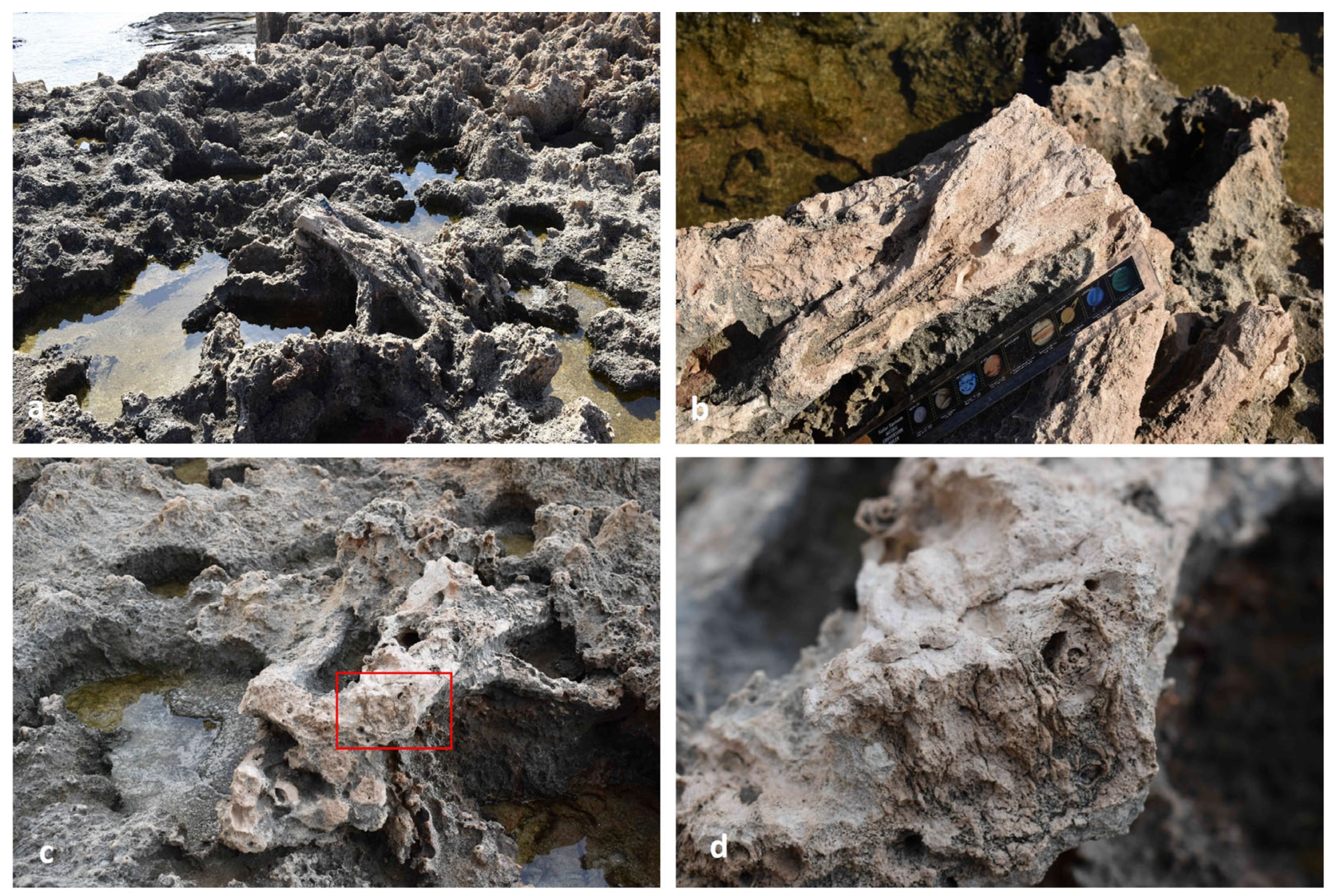 Heritage 08 00242 g016