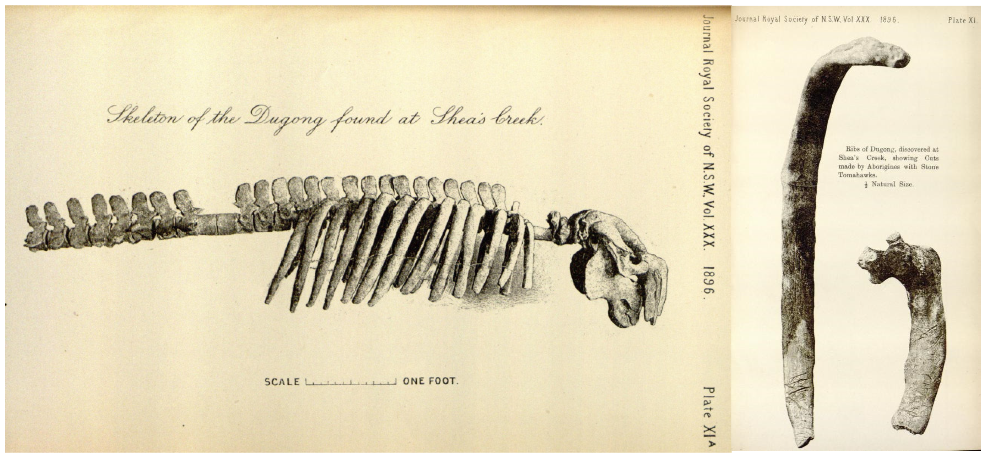 Heritage 08 00256 g005