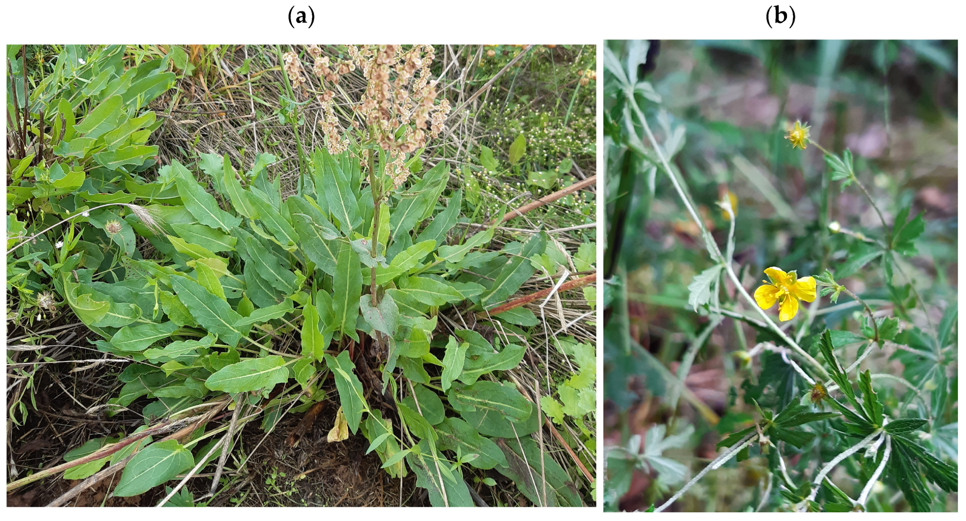 Heritage 08 00264 g001