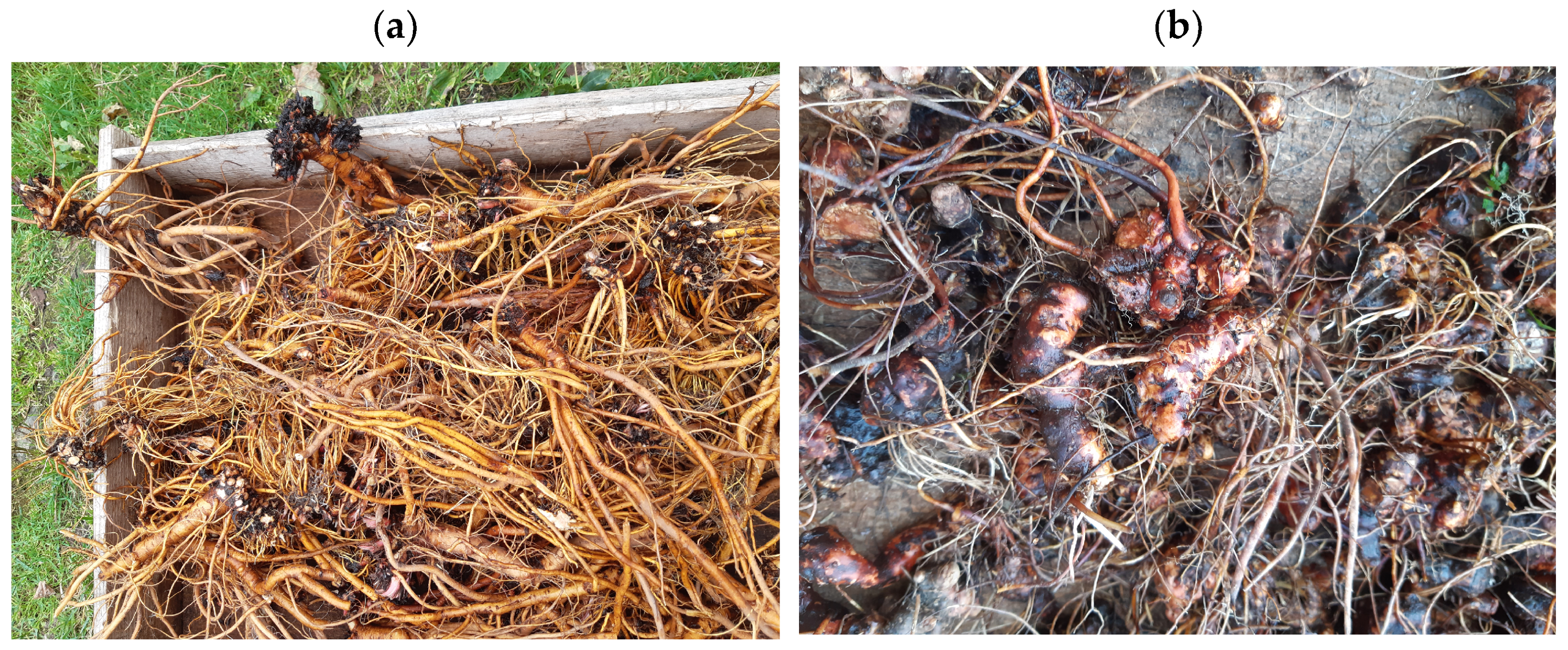 Heritage 08 00264 g002