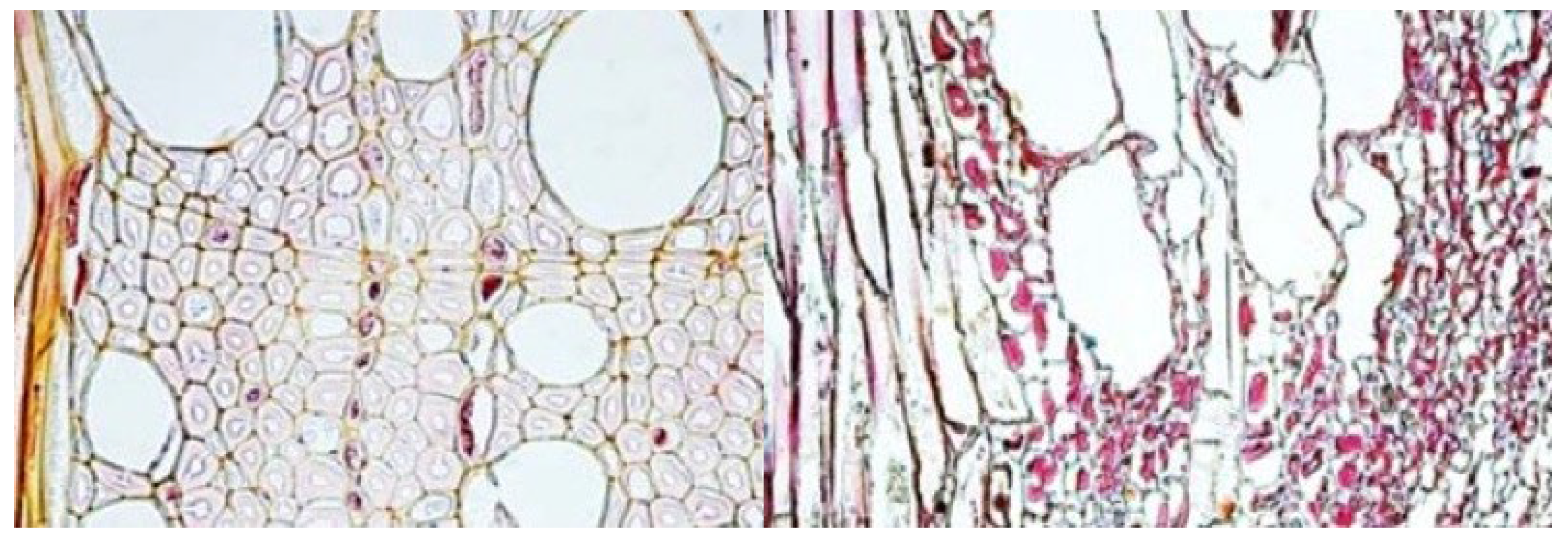 Heritage 08 00273 g001