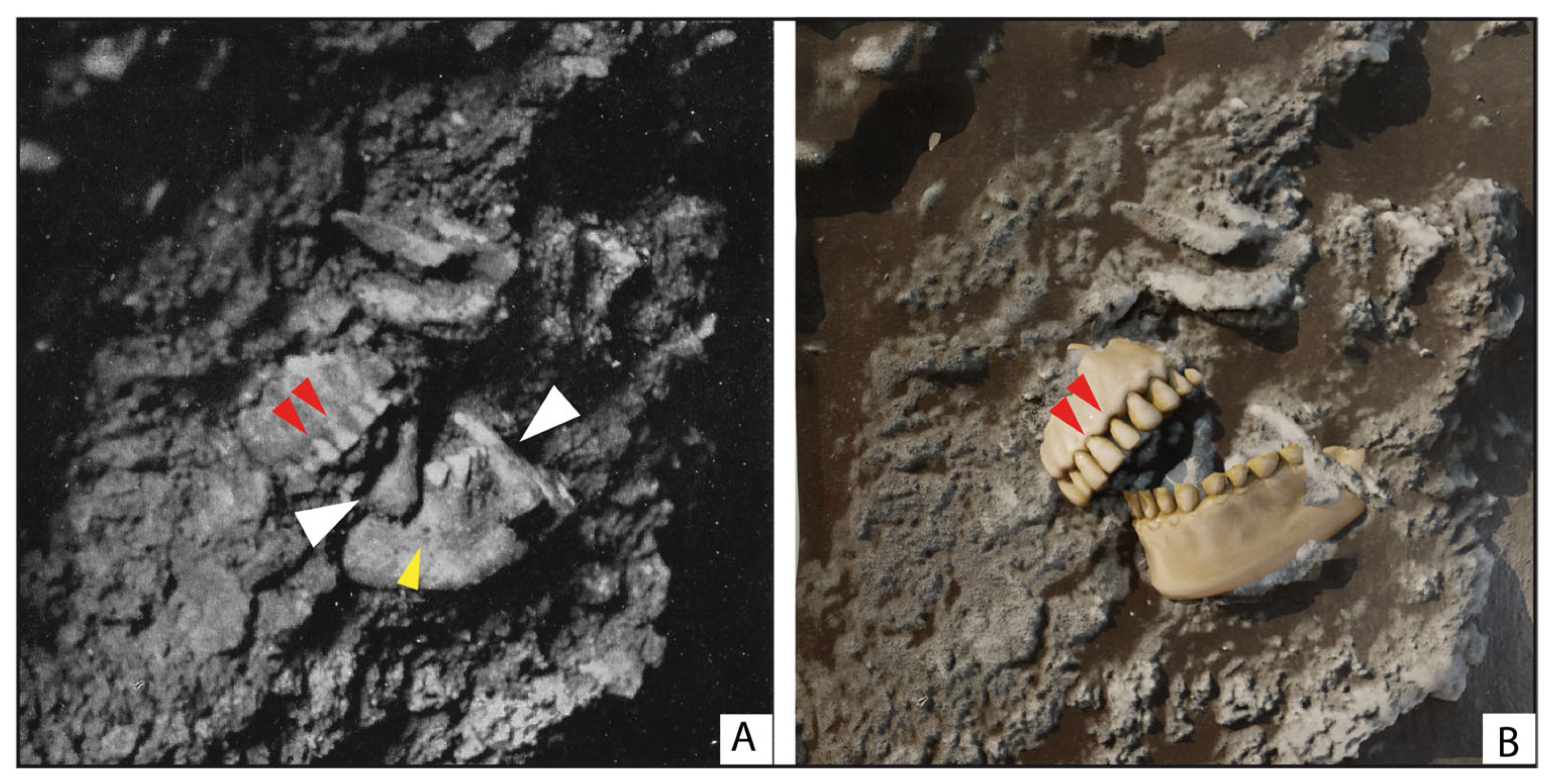 Heritage 08 00285 g004