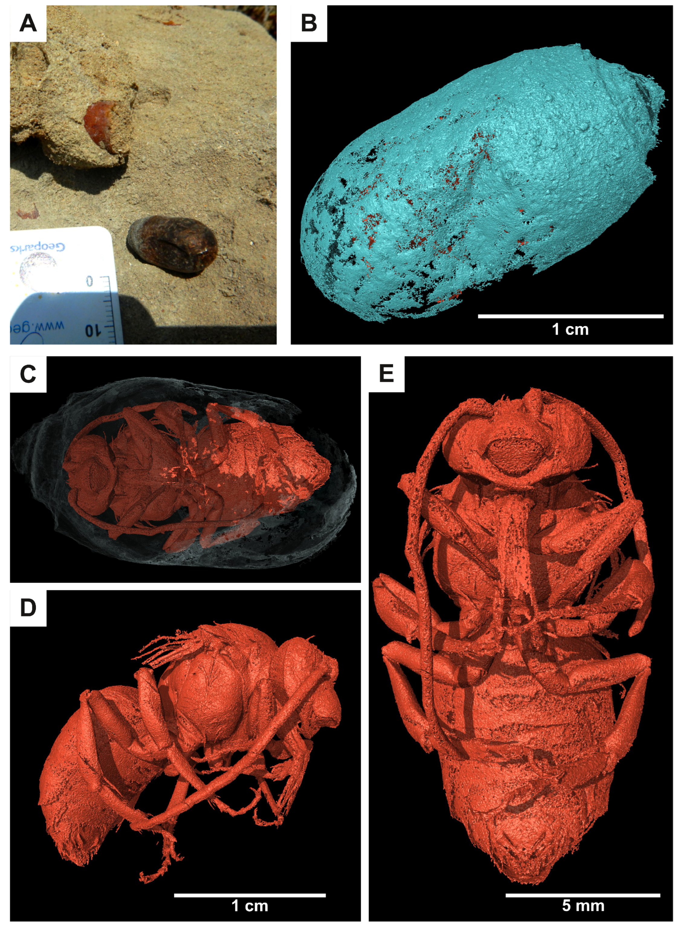 Heritage 08 00310 g001