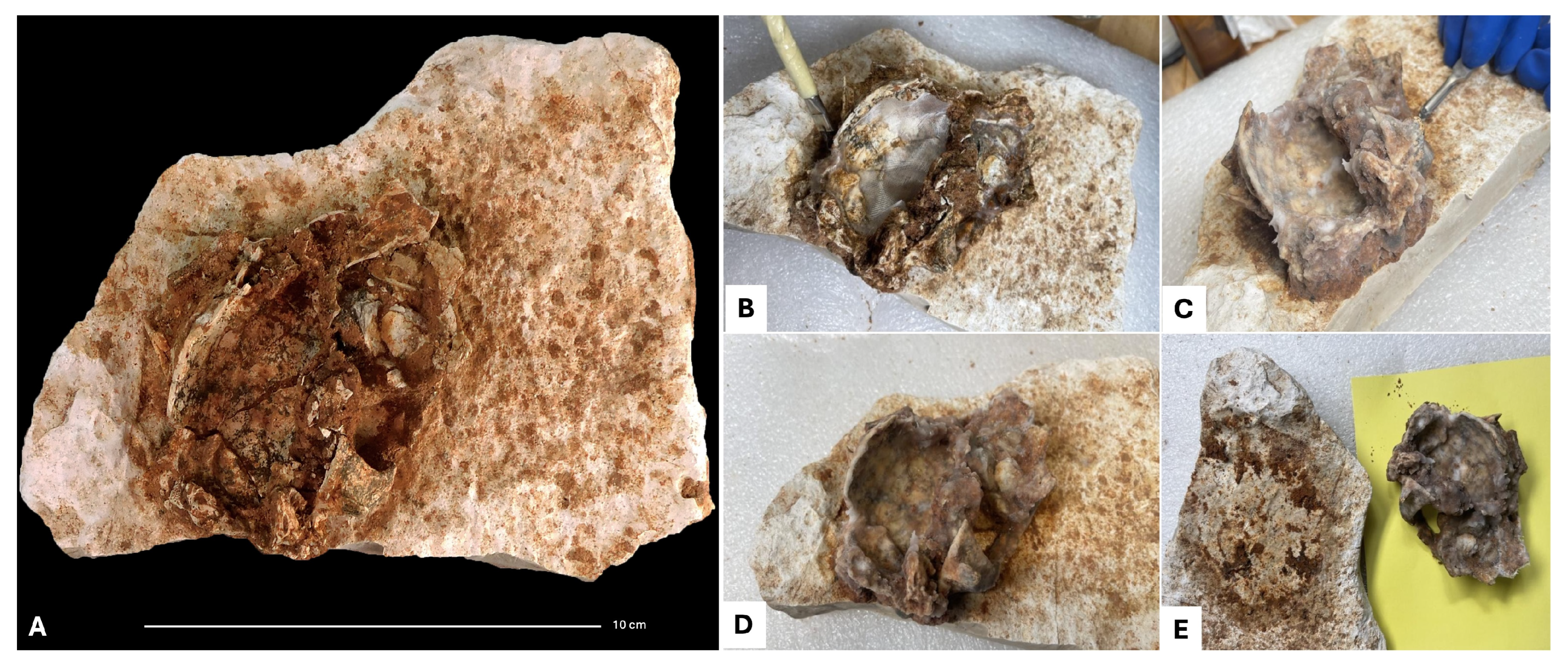 Heritage 08 00310 g002