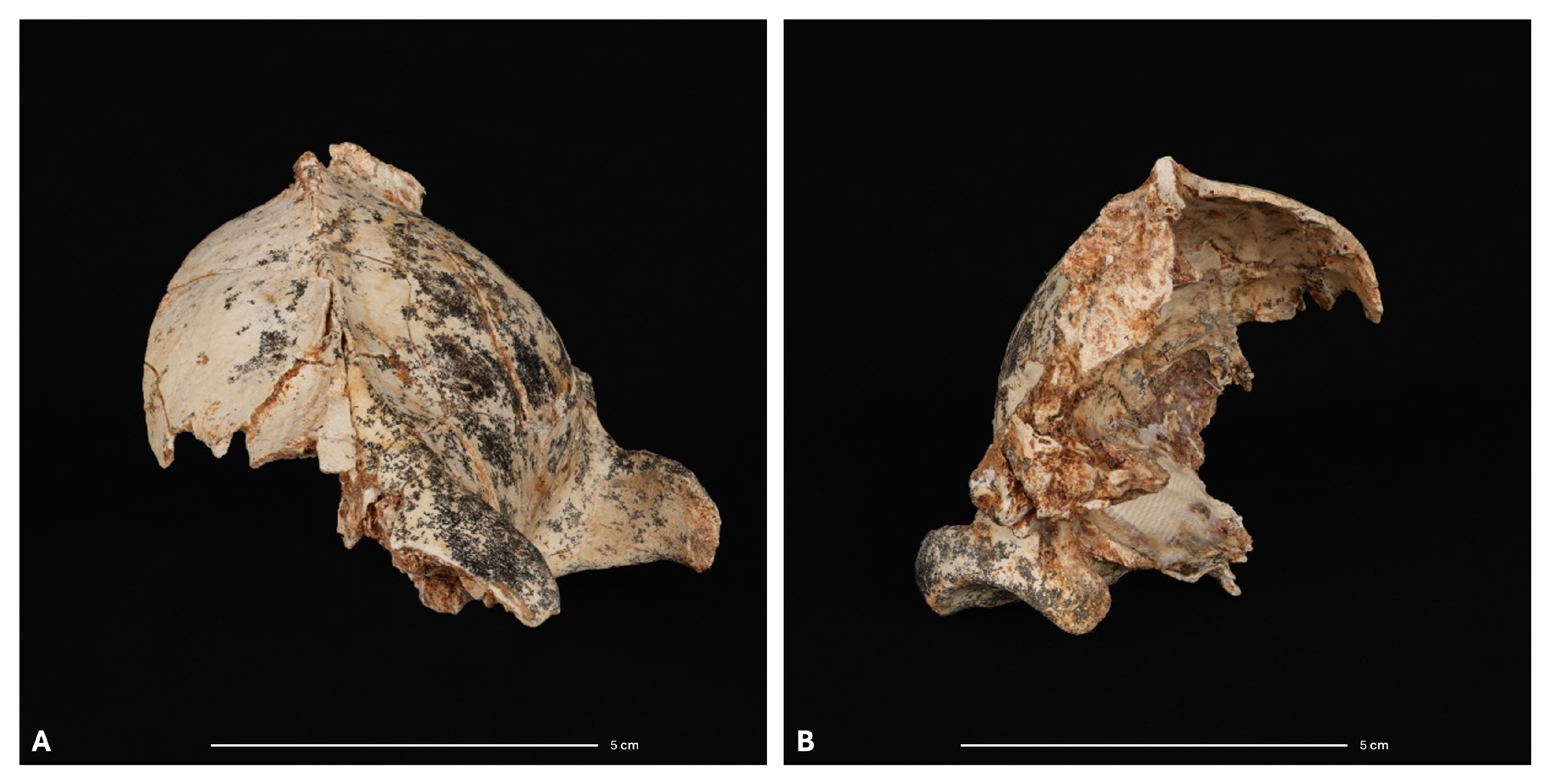 Heritage 08 00310 g005