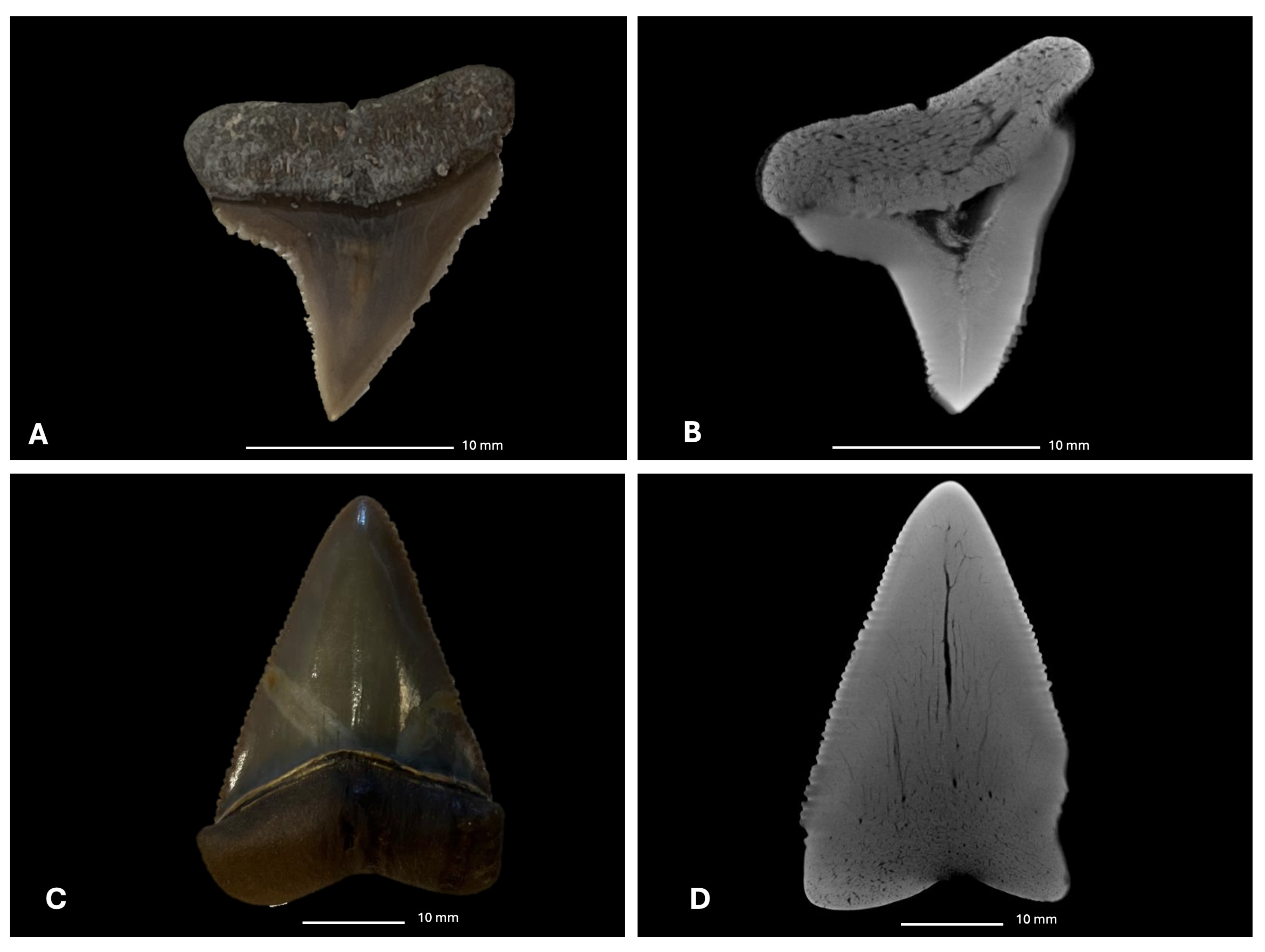 Heritage 08 00310 g006