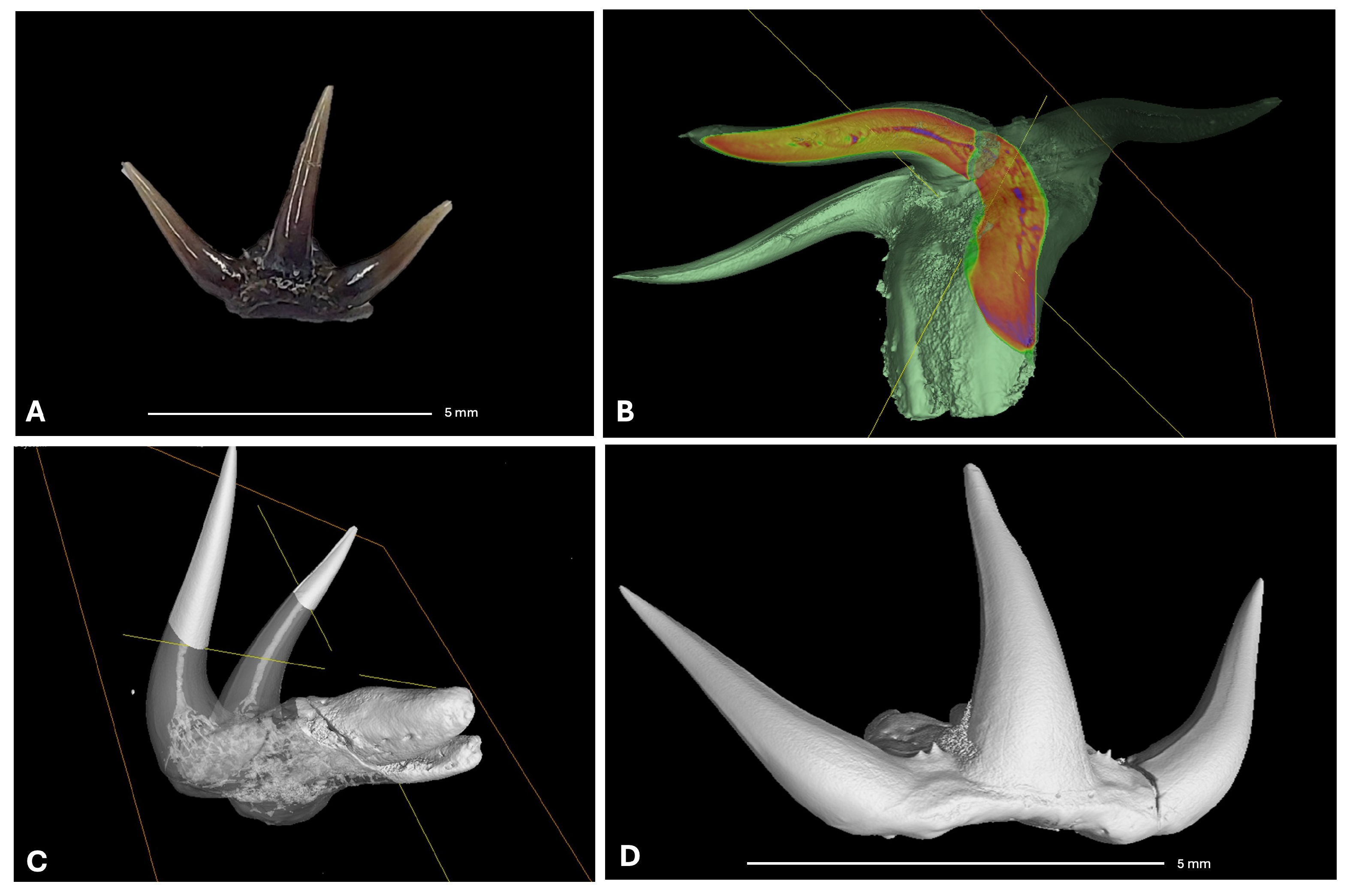 Heritage 08 00310 g007