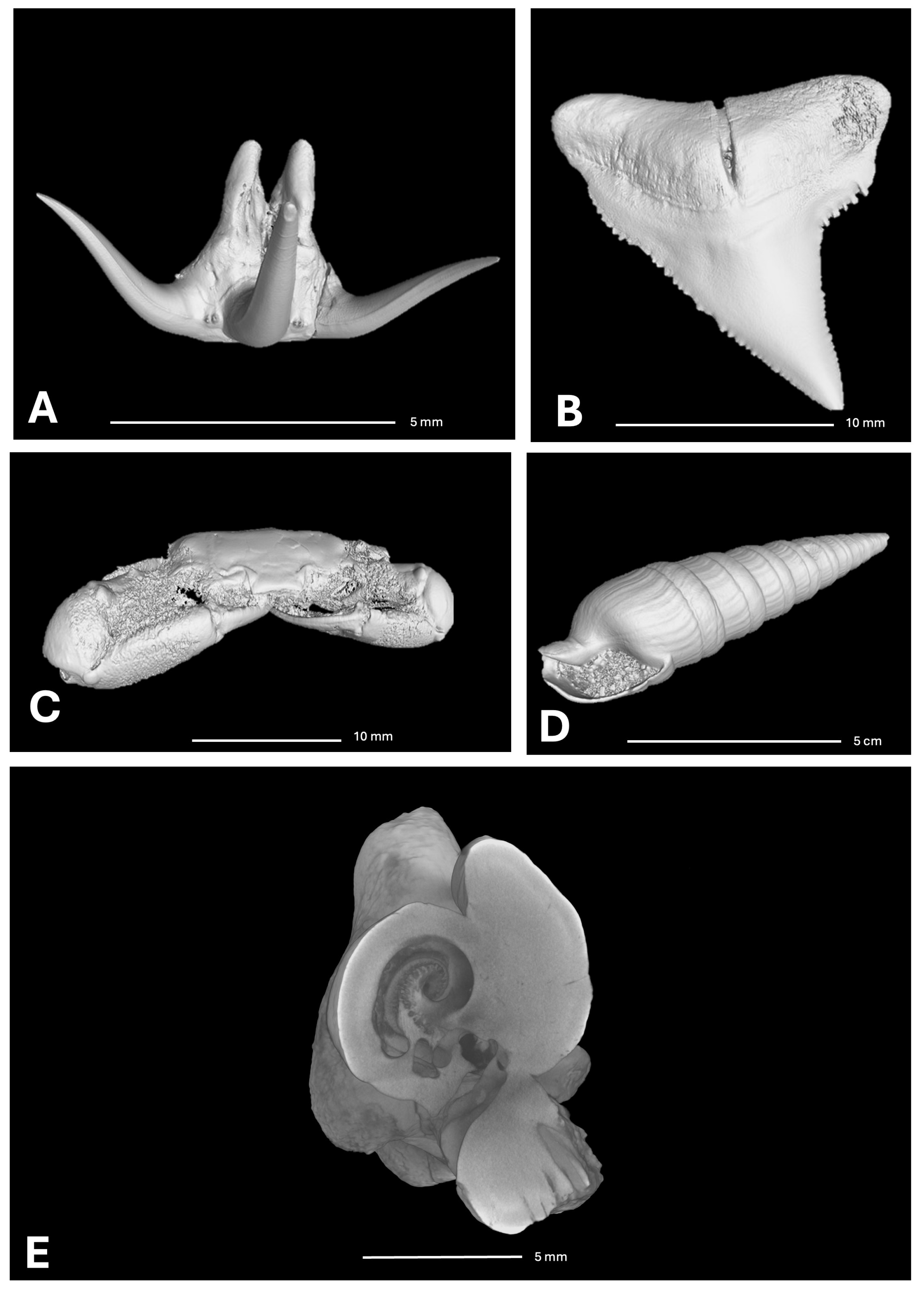 Heritage 08 00310 g008