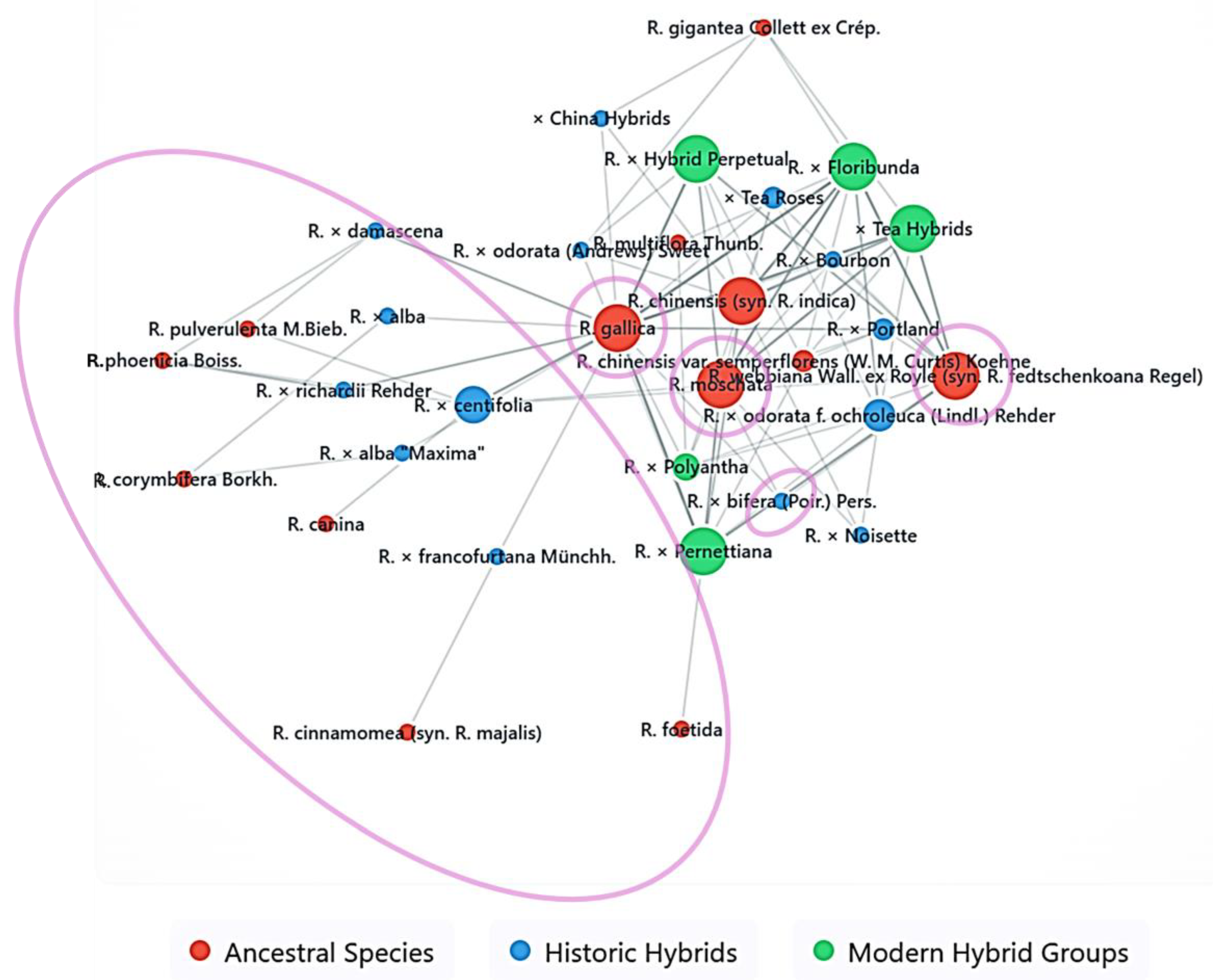 Heritage 08 00315 g004