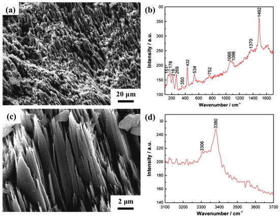 Recent Progress on Corrosion Behavior, Mechanism, and Protection ...