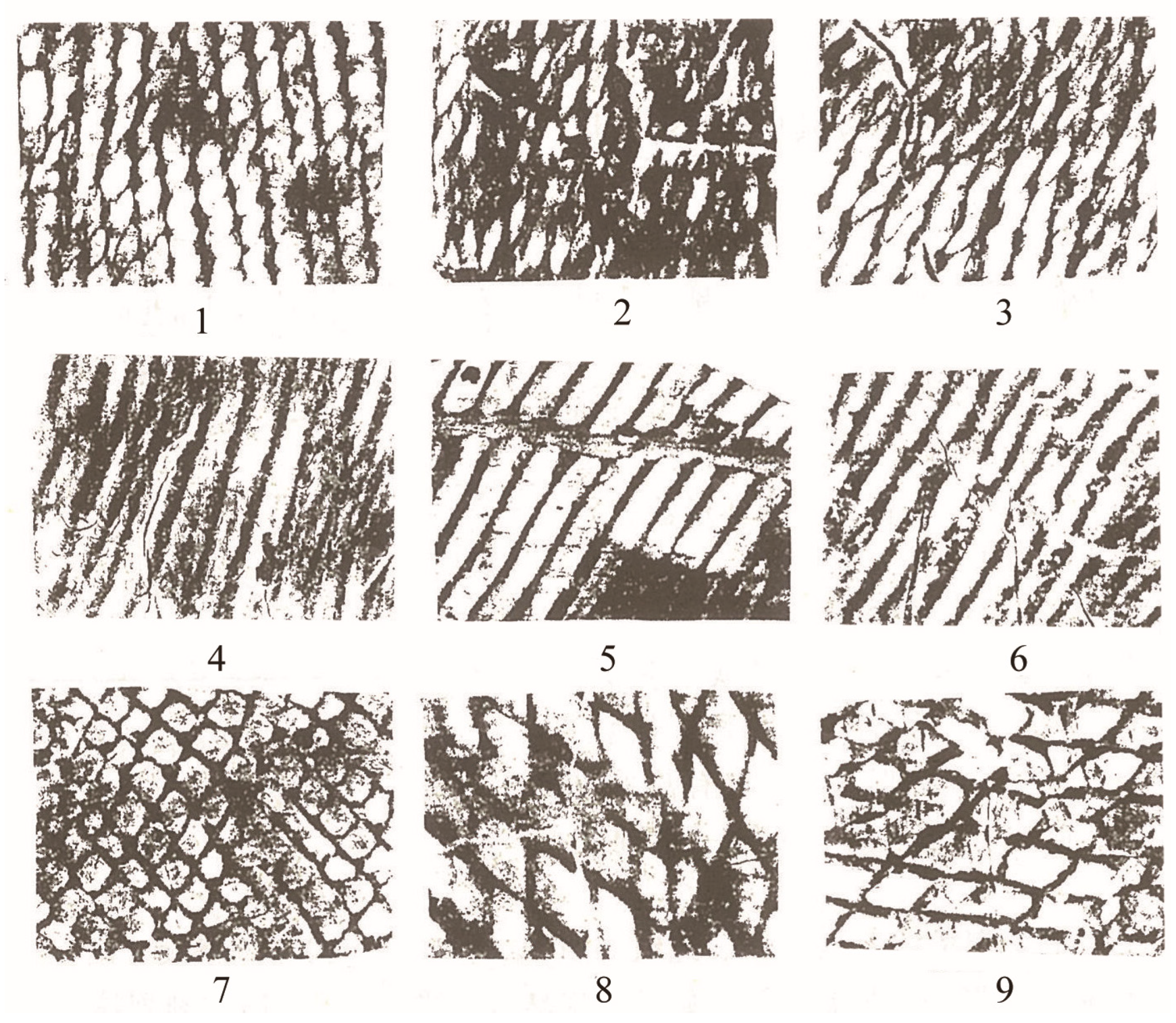 Heritage 08 00342 g002