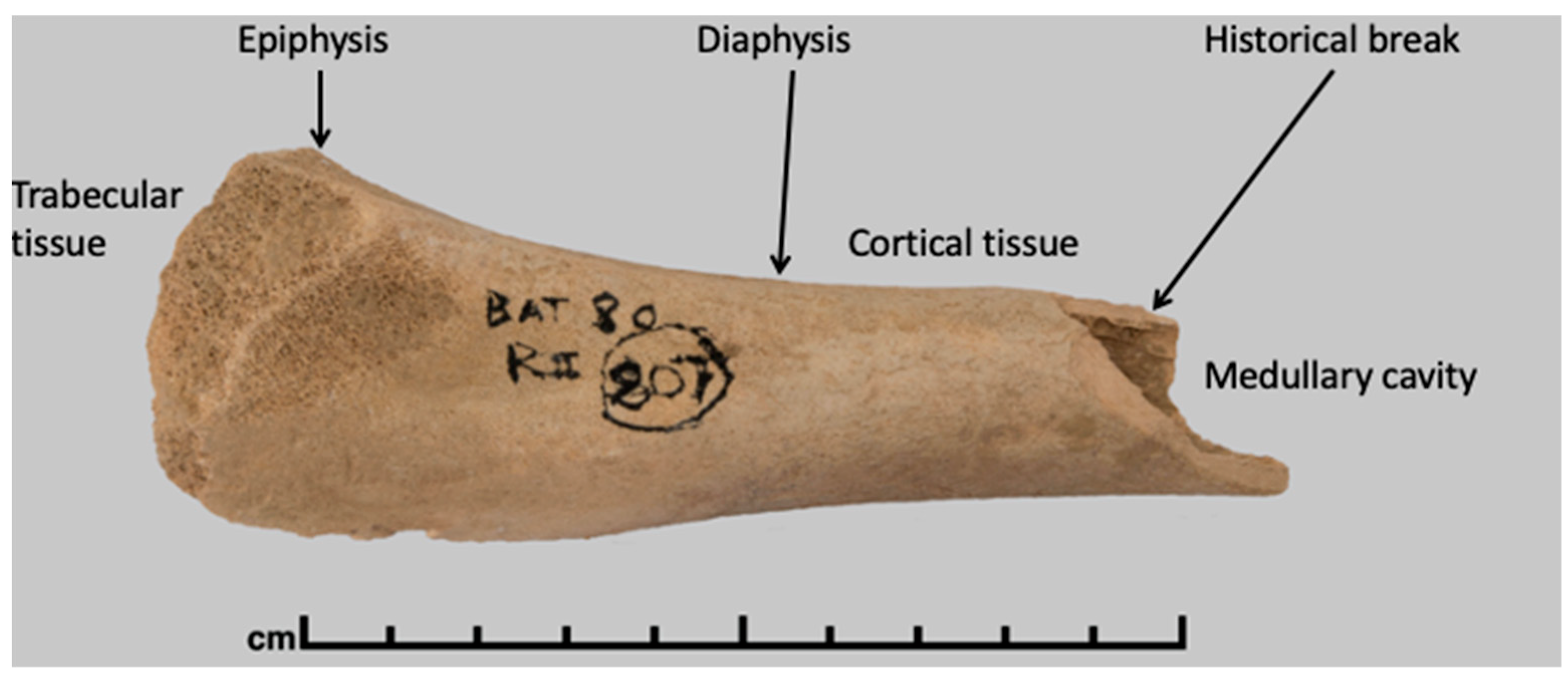Heritage 08 00347 g001 Heritage 08 00347 g001
