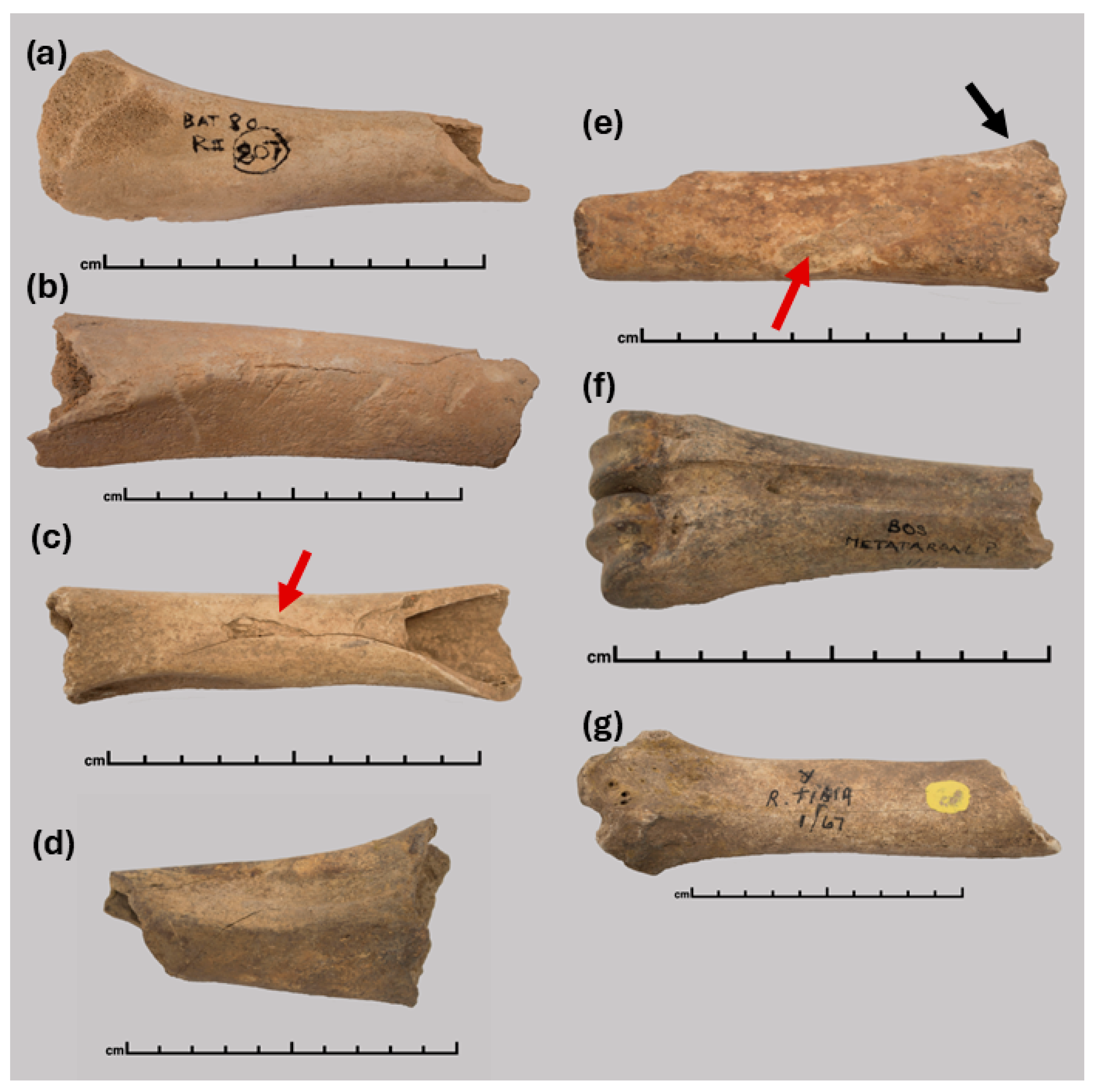 Heritage 08 00347 g002 Heritage 08 00347 g002