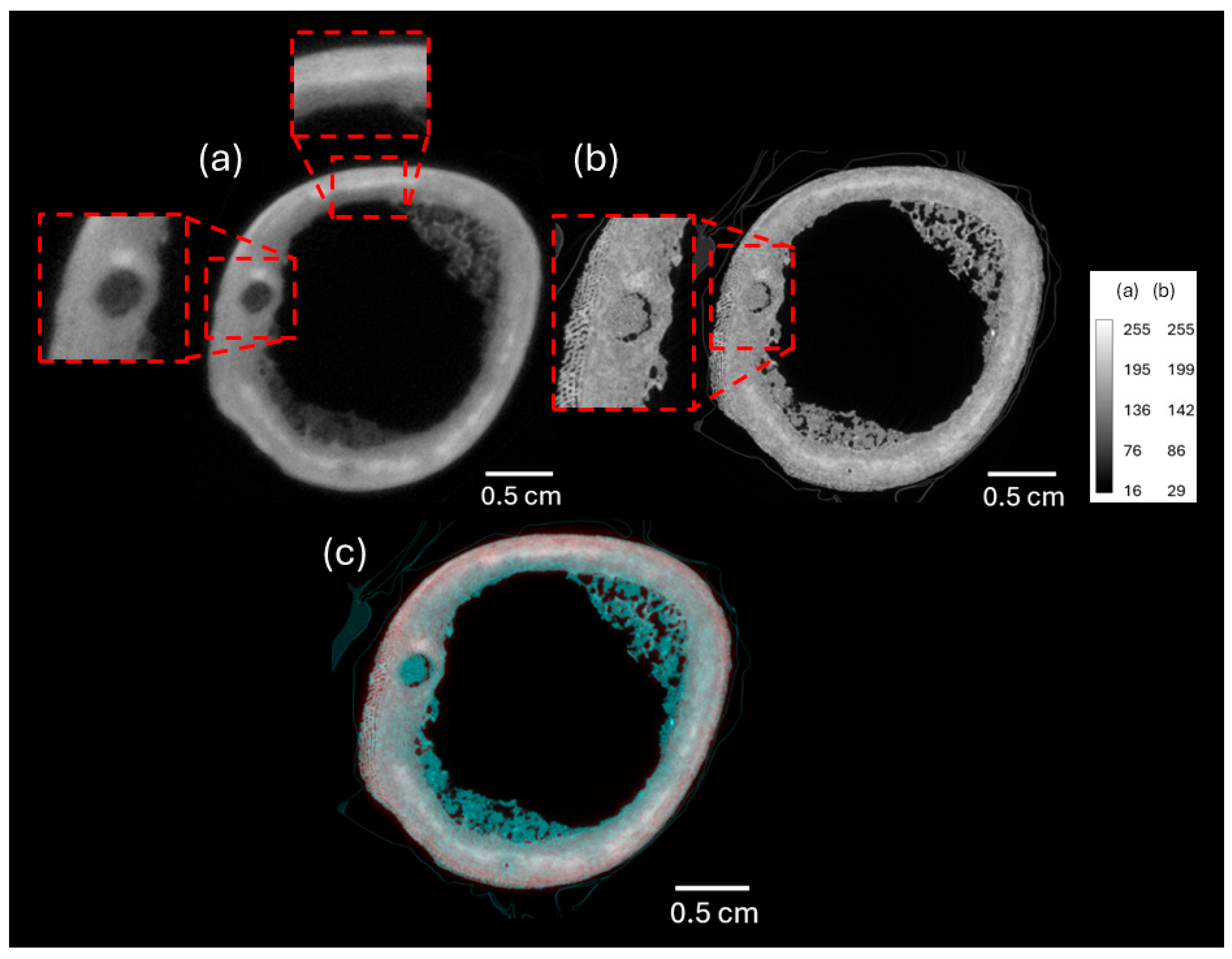 Heritage 08 00347 g005 Heritage 08 00347 g005