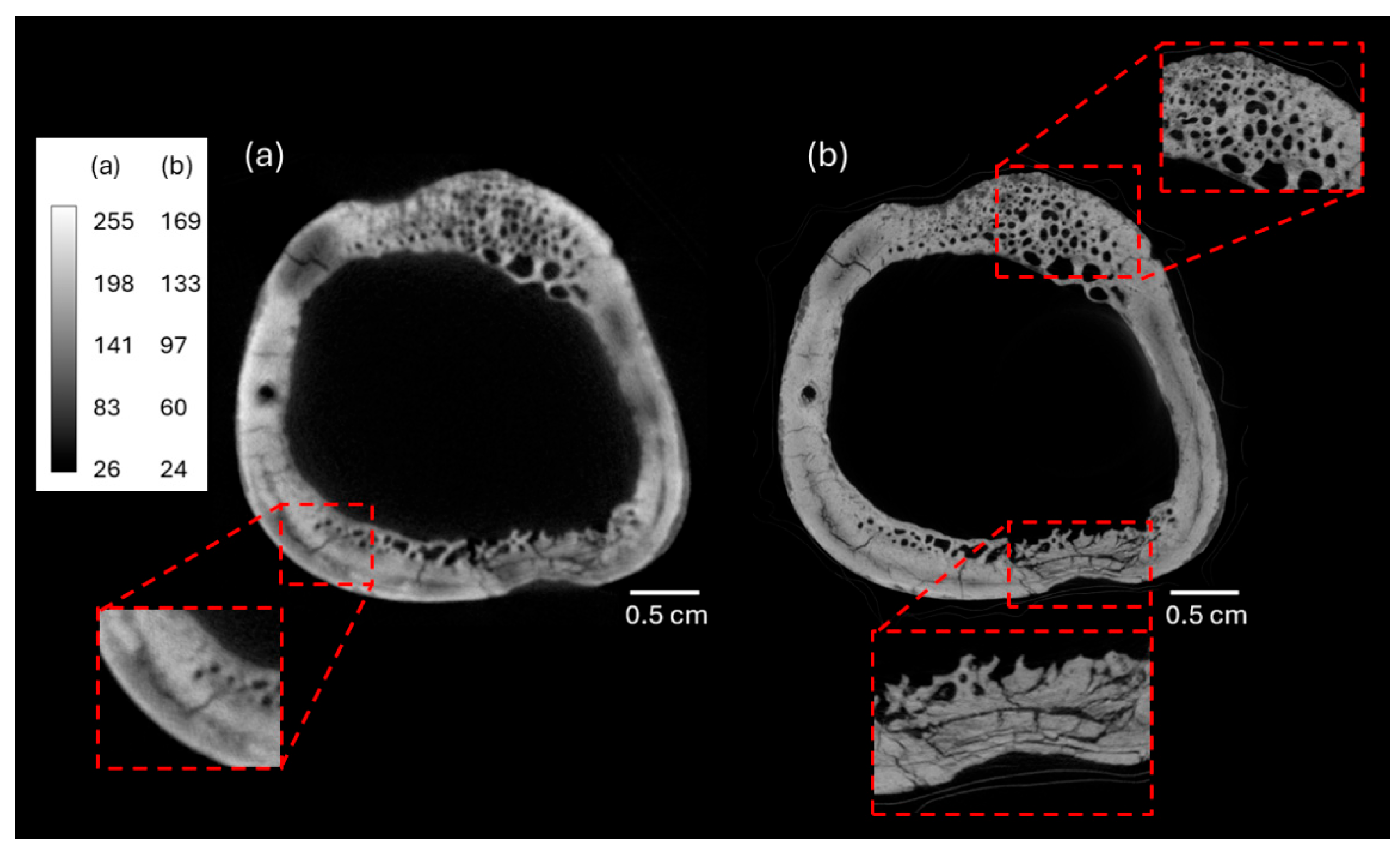 Heritage 08 00347 g009 Heritage 08 00347 g009