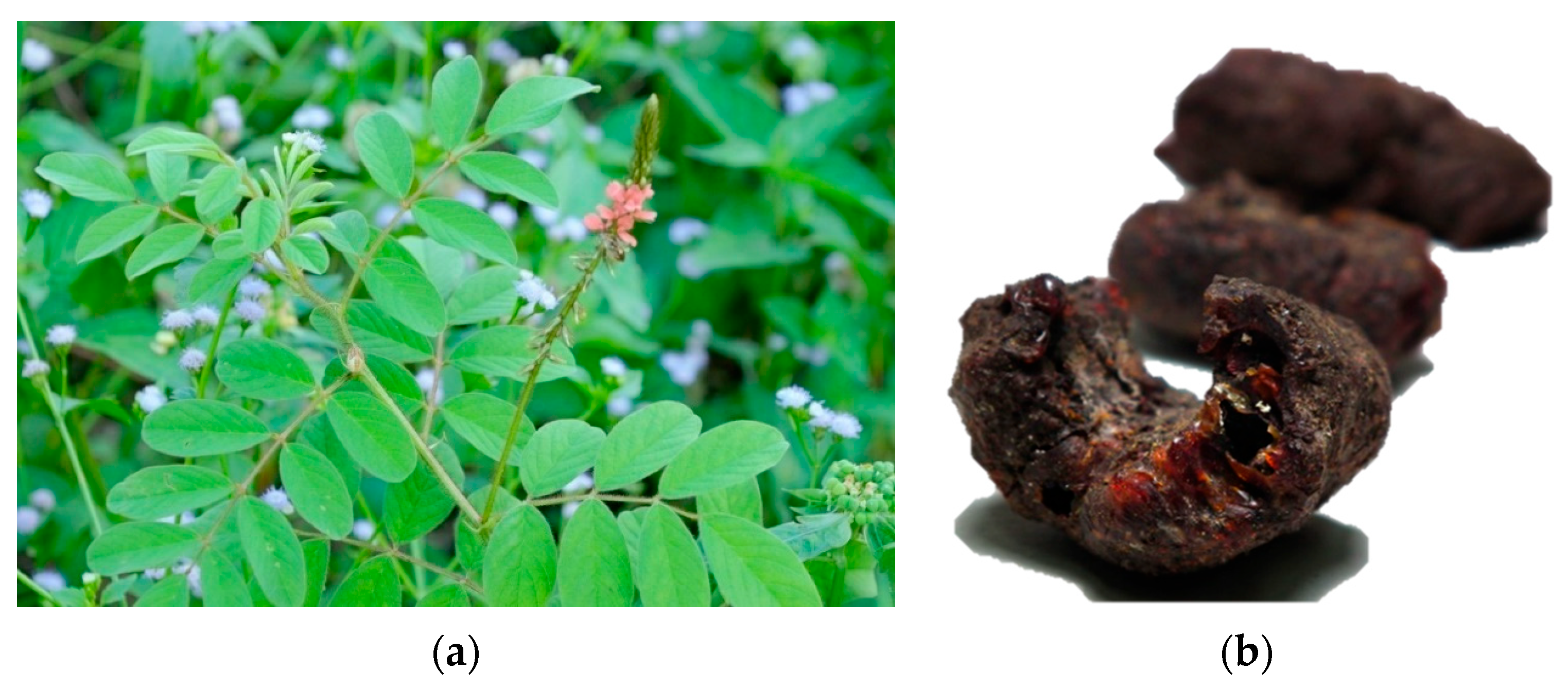 Heritage 08 00360 g0a2