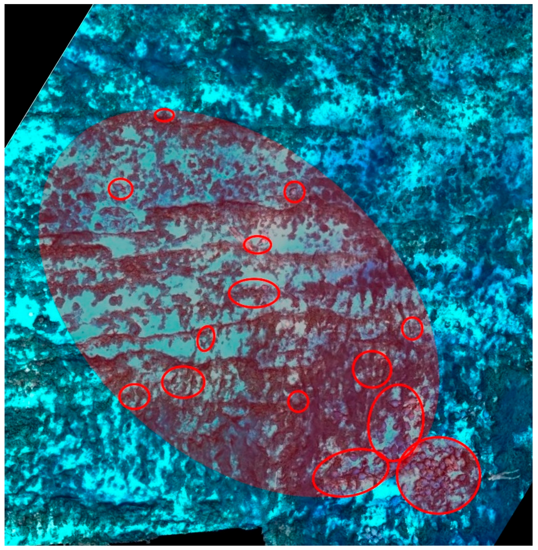 Heritage 08 00373 g003