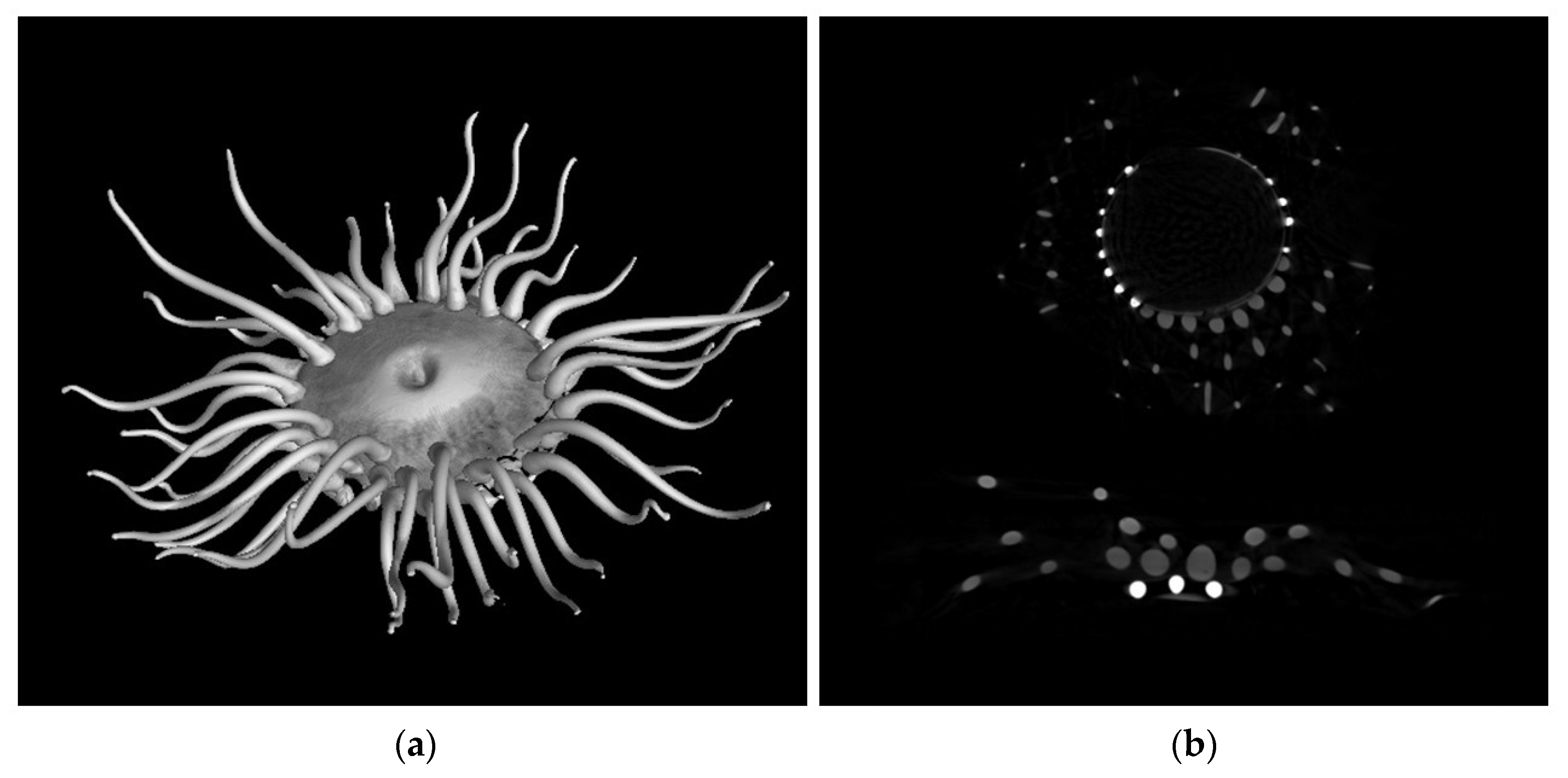 Heritage 08 00376 g001