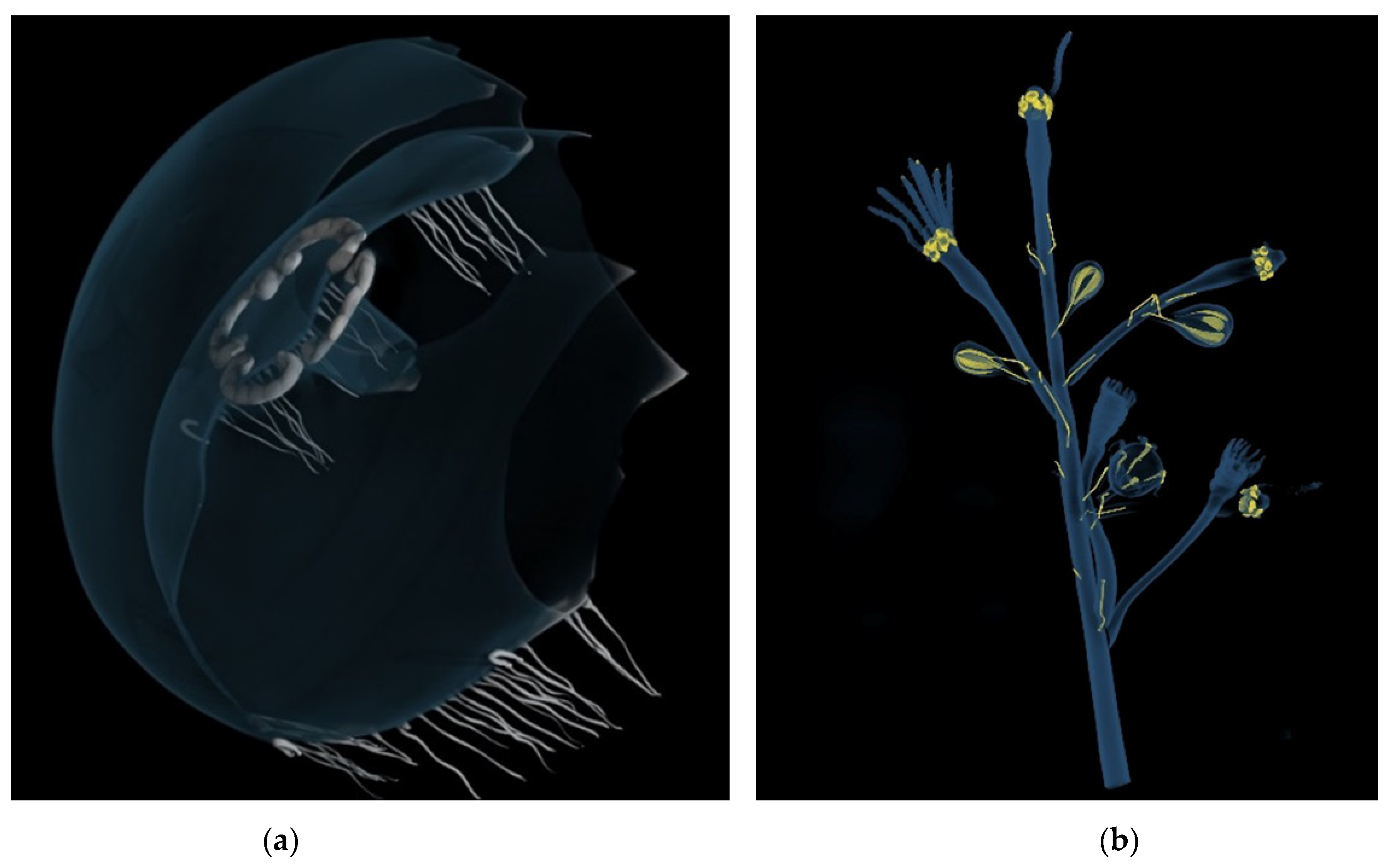 Heritage 08 00376 g002