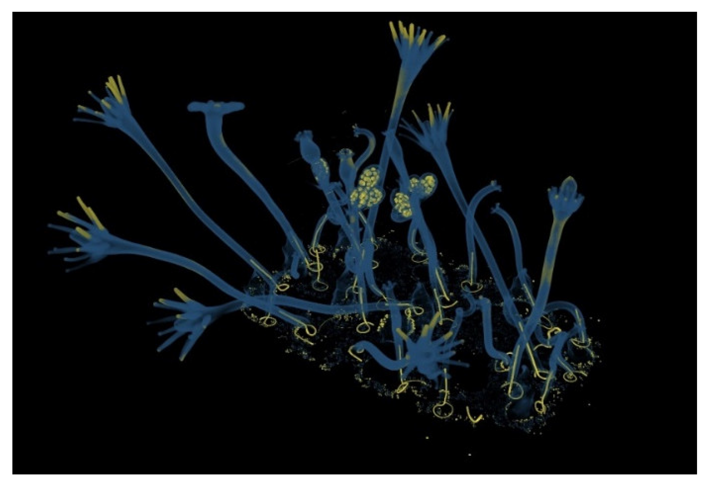 Heritage 08 00376 g003