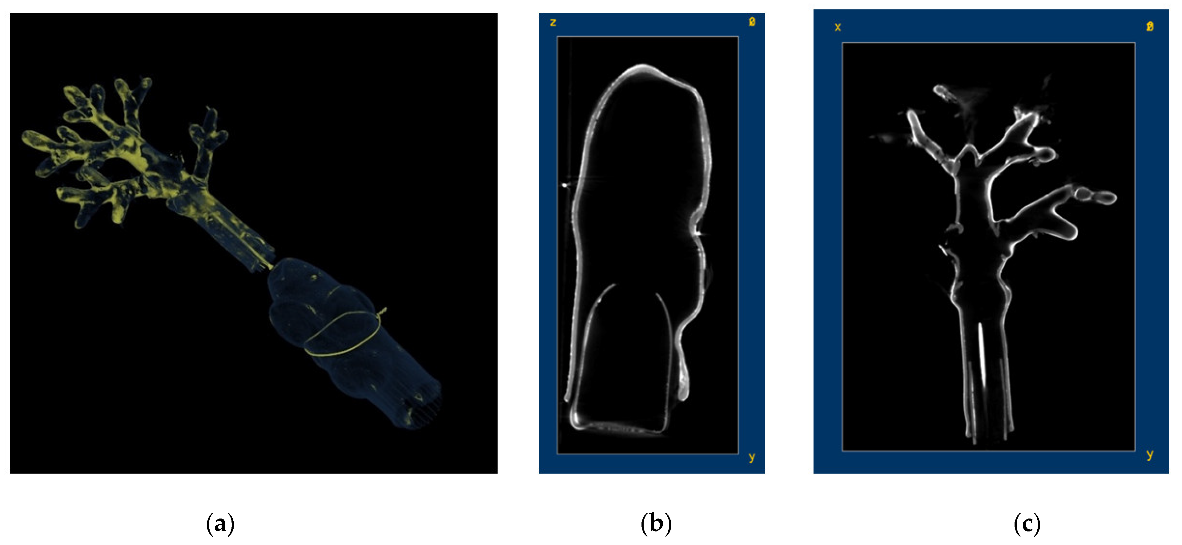 Heritage 08 00376 g004