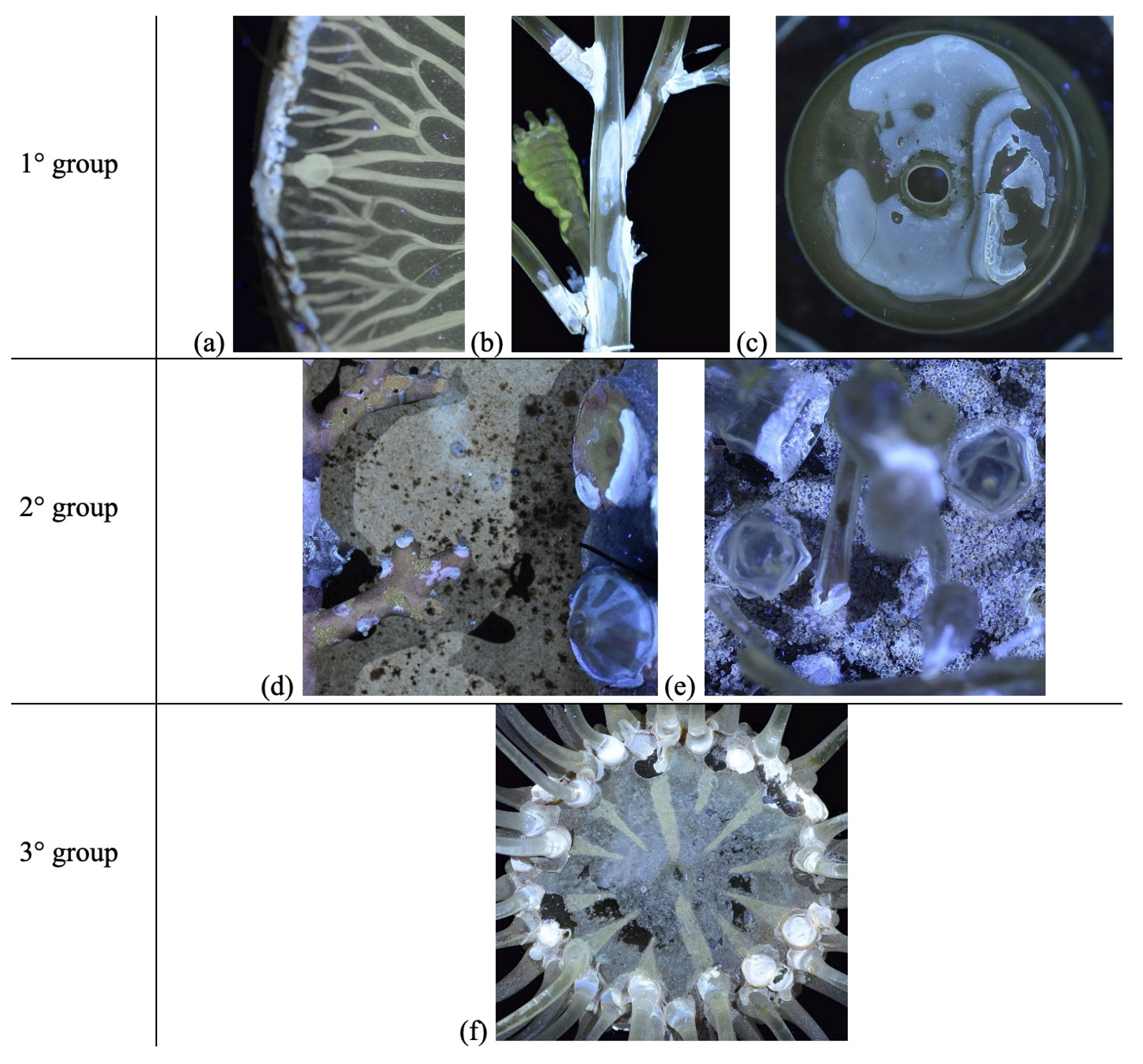 Heritage 08 00376 g007