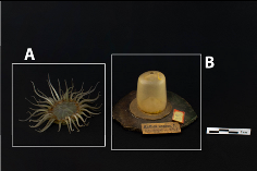 Heritage 08 00376 i001