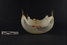 Heritage 08 00376 i002