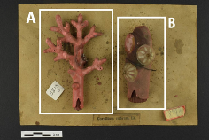 Heritage 08 00376 i004