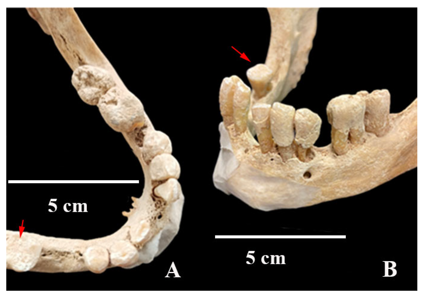 Heritage 08 00414 g008 Heritage 08 00414 g008