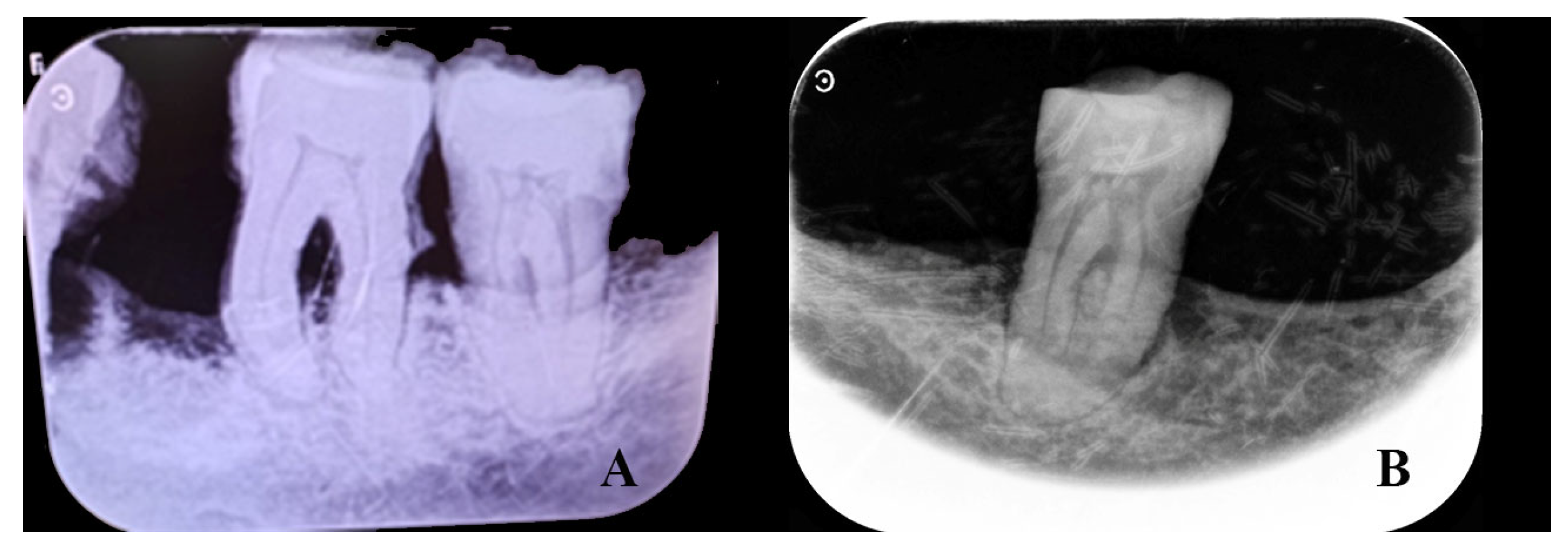 Heritage 08 00414 g010 Heritage 08 00414 g010