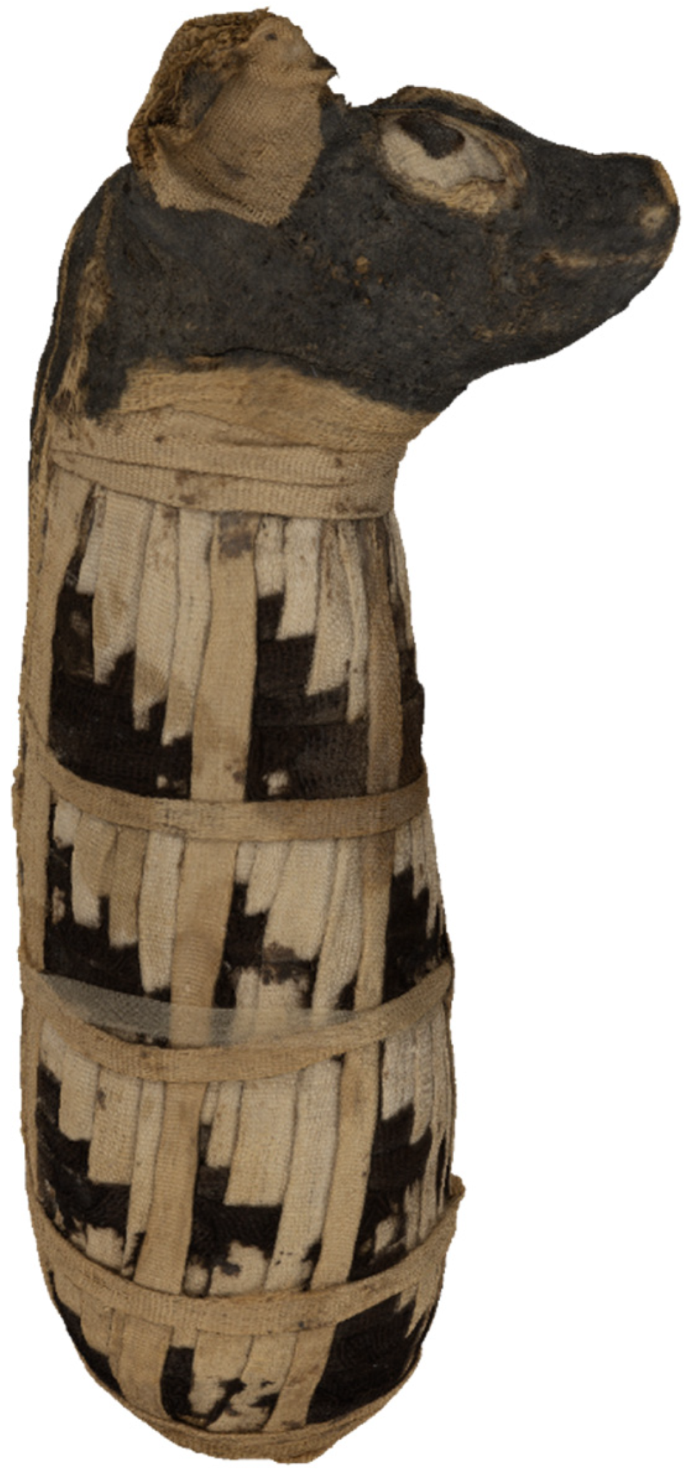 Heritage 08 00415 g016