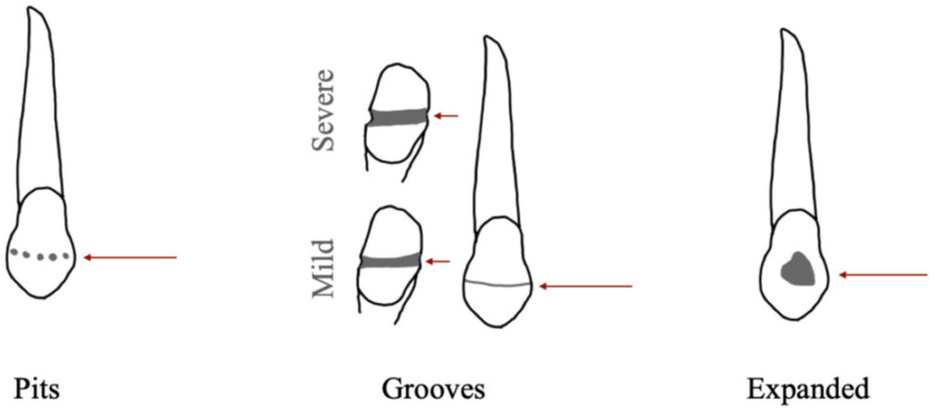 Heritage 08 00420 g001