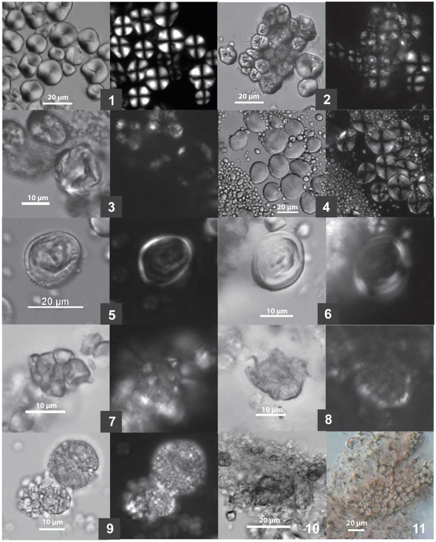 Heritage 08 00426 g004 Heritage 08 00426 g004