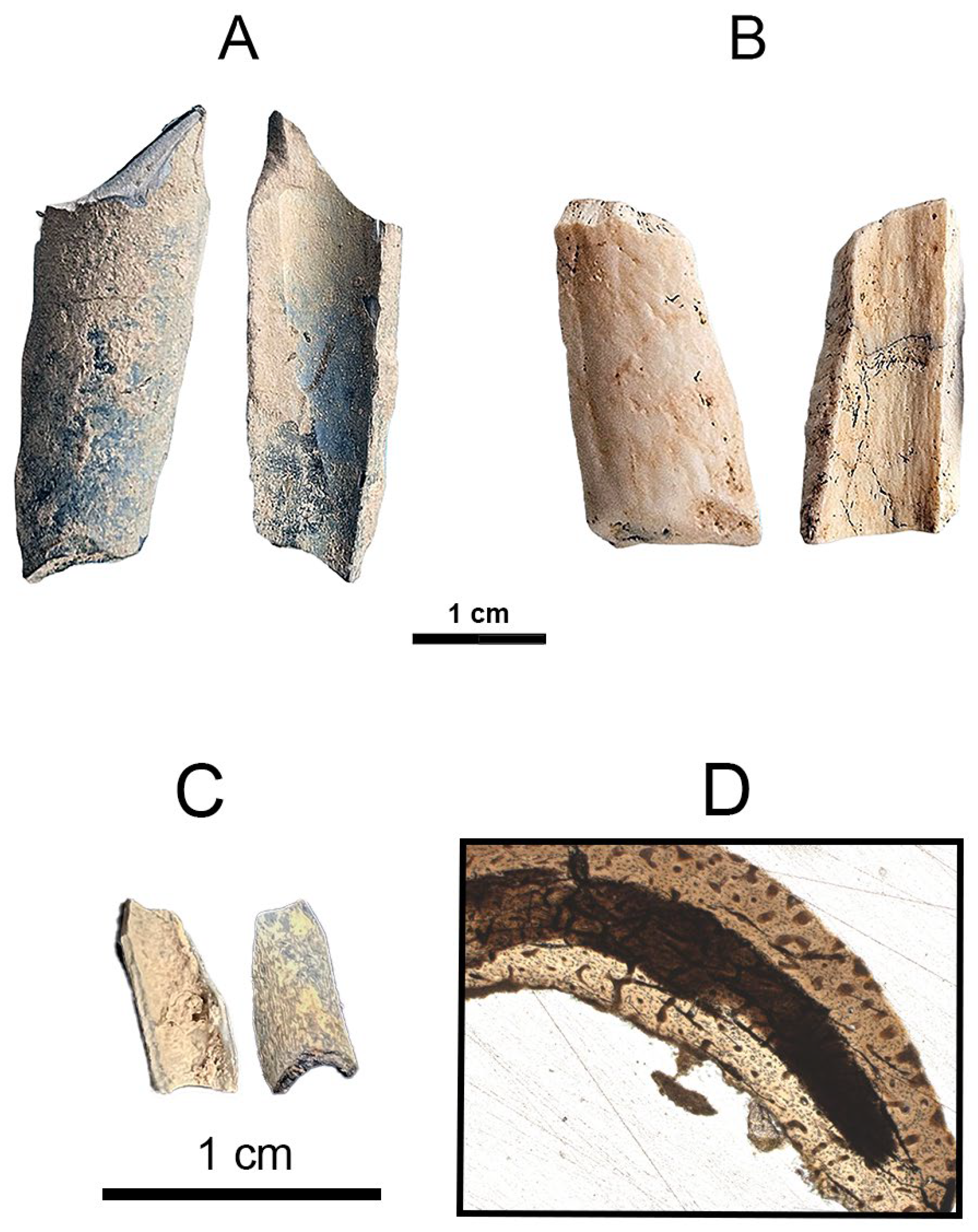 Heritage 08 00433 g006